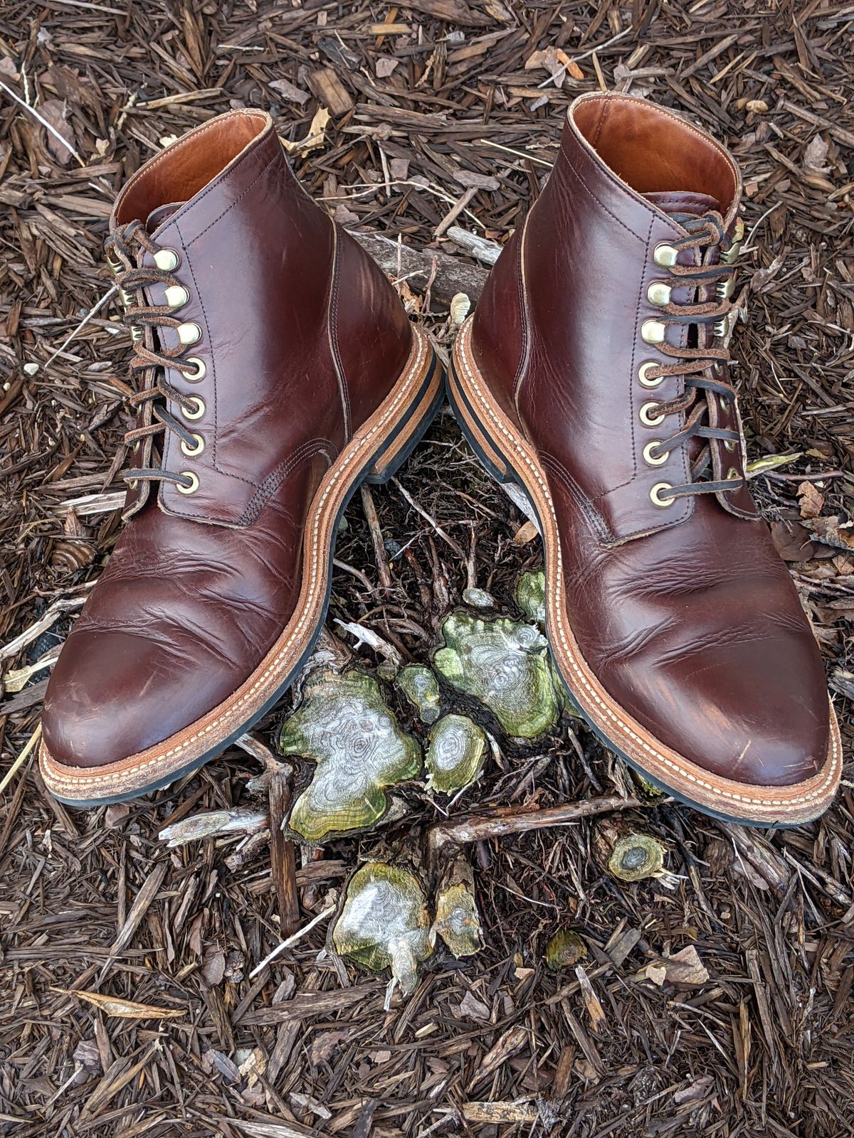 Photo by uriandries on December 4, 2023 of the Grant Stone Diesel Boot in Horween Crimson Chromexcel.