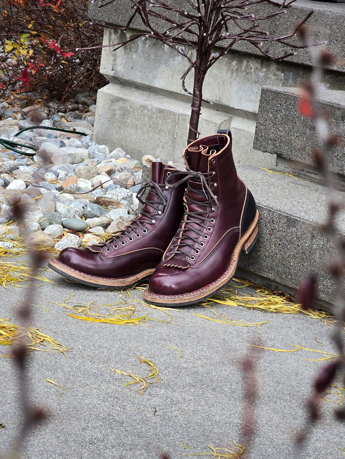 Photo by Akslavelabor on November 29, 2024 of the White's 350 7" Cutters in Seidel Burgundy Double Shot & Seidel Black Double Shot.