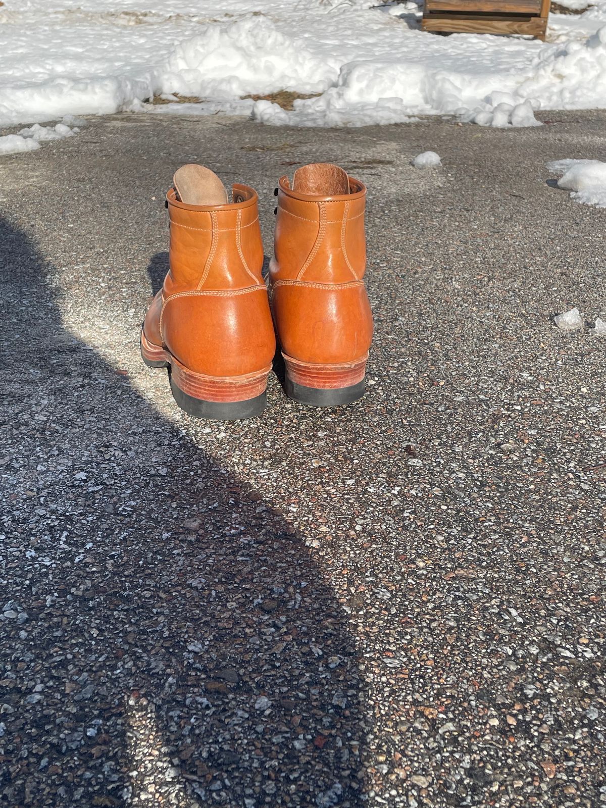 Photo by craigdavidd on February 3, 2024 of the Tahura Benjamina 2.0 in Maryam Natural Horsebutt.