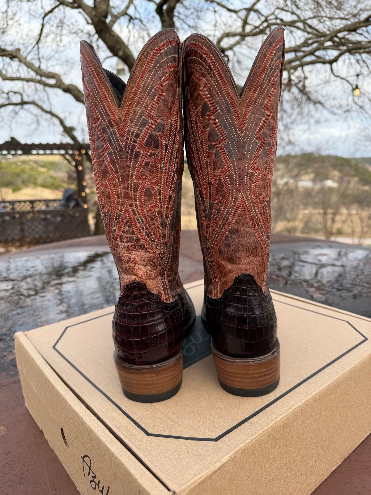 Photo by itsyaboisqueak on February 15, 2026 of the Allen’s Boots Cowboy in Nile Croc Belly.