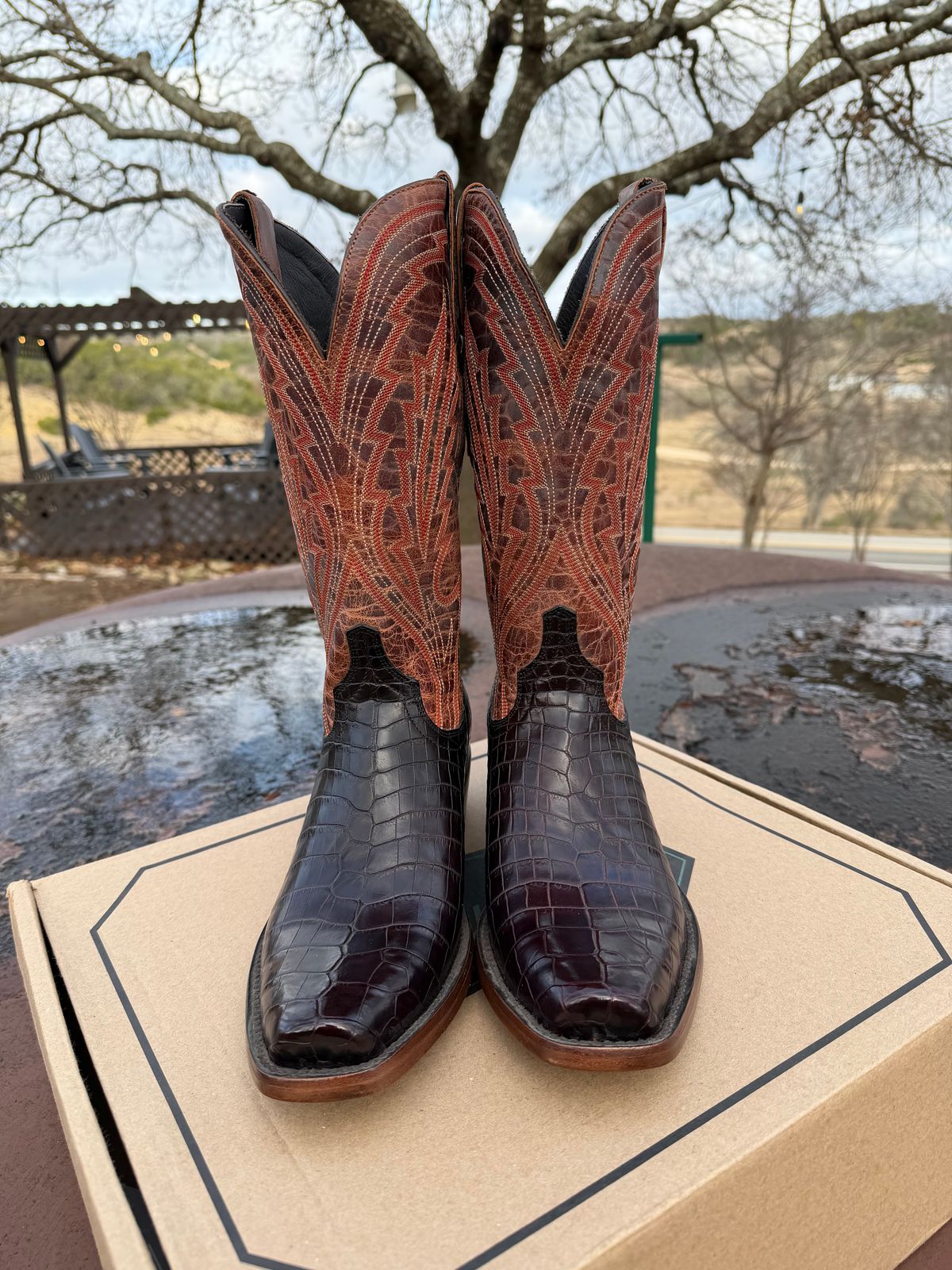 Photo by itsyaboisqueak on February 15, 2026 of the Allen’s Boots Cowboy in Nile Croc Belly.