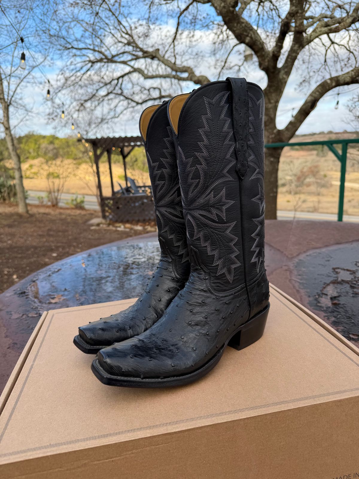 Photo by itsyaboisqueak on February 15, 2026 of the Allen’s Boots Cowboy Boot in Black Full Quill Ostrich.