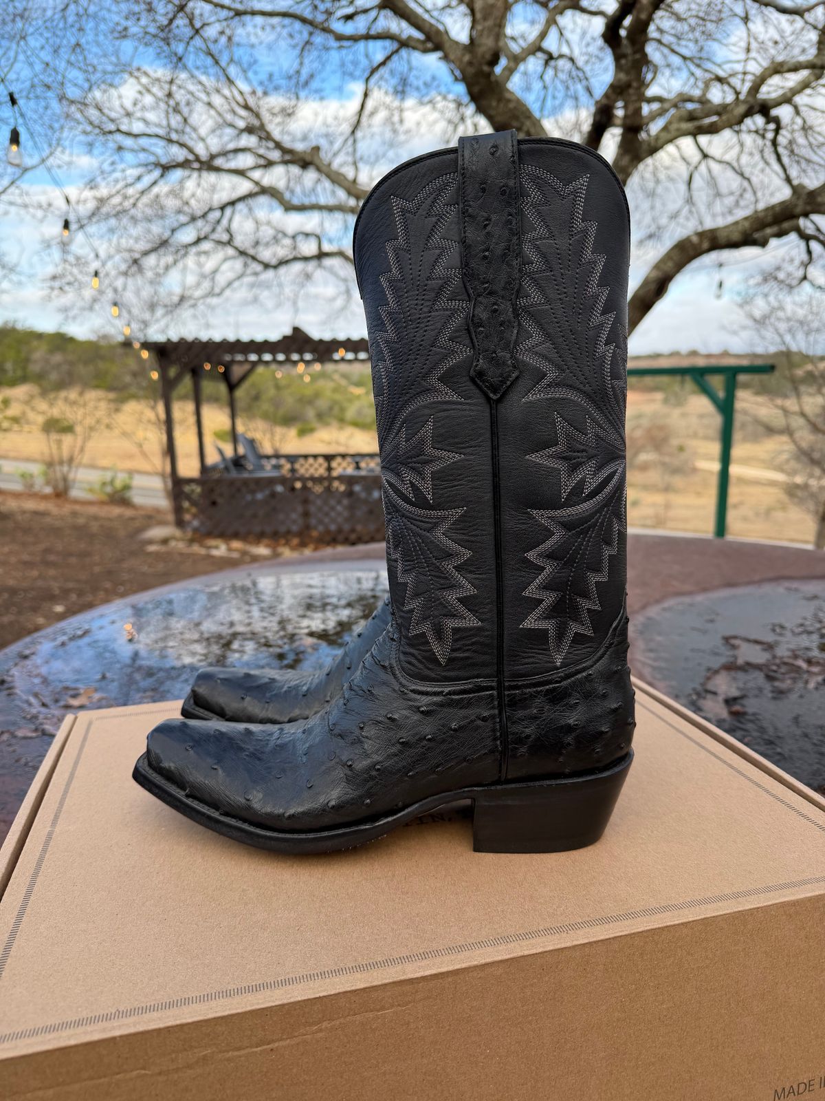 Photo by itsyaboisqueak on February 15, 2026 of the Allen’s Boots Cowboy Boot in Black Full Quill Ostrich.