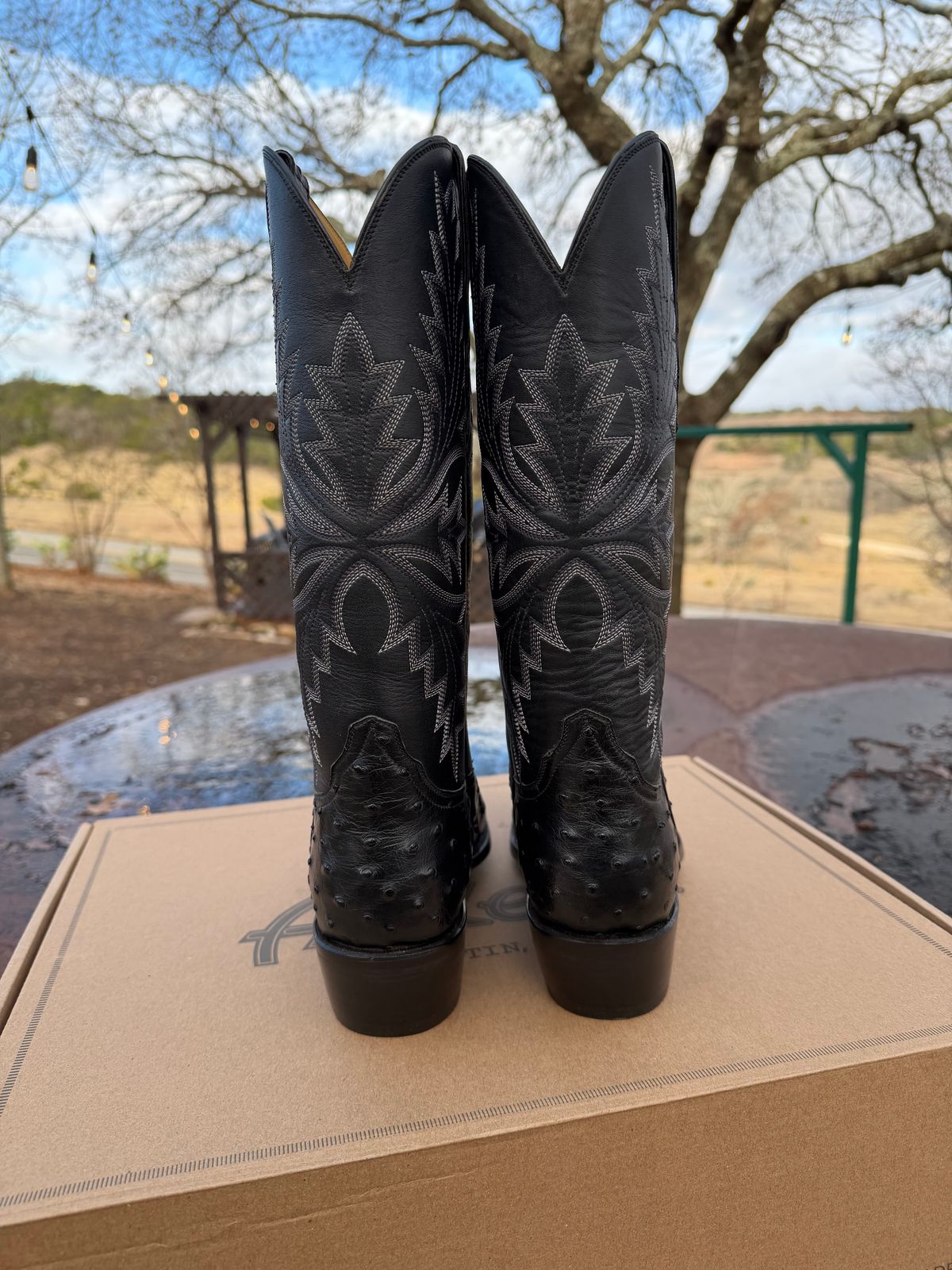 Photo by itsyaboisqueak on February 15, 2026 of the Allen’s Boots Cowboy Boot in Black Full Quill Ostrich.