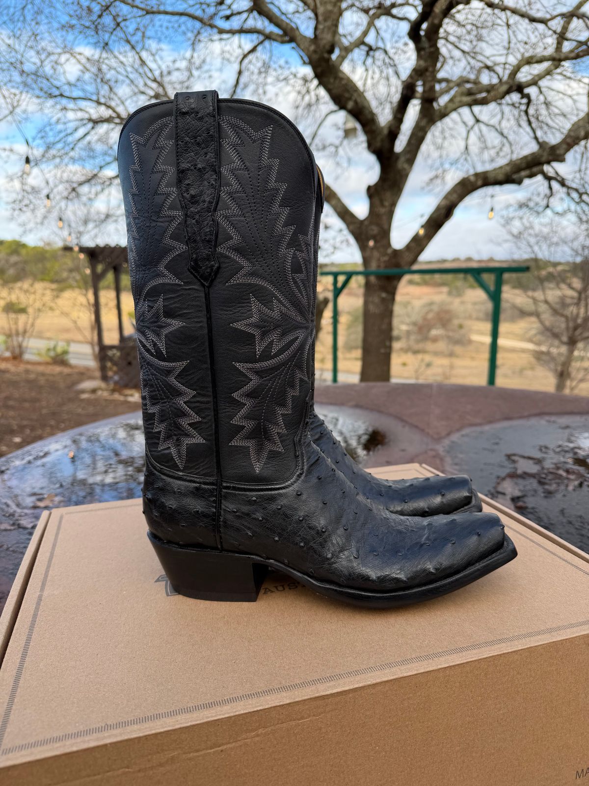 Photo by itsyaboisqueak on February 15, 2026 of the Allen’s Boots Cowboy Boot in Black Full Quill Ostrich.