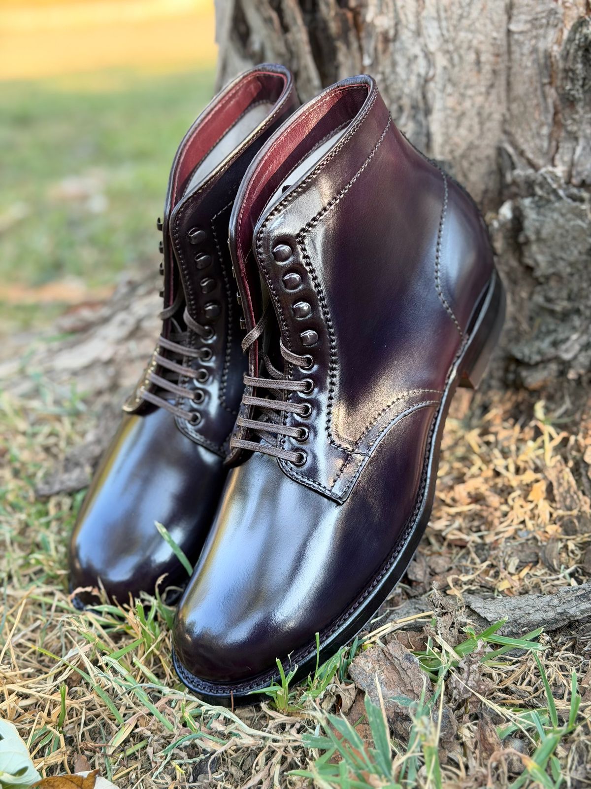 Photo by itsyaboisqueak on October 2, 2025 of the Alden 4600H Plain Toe Boot in Horween Color 8 Shell Cordovan.