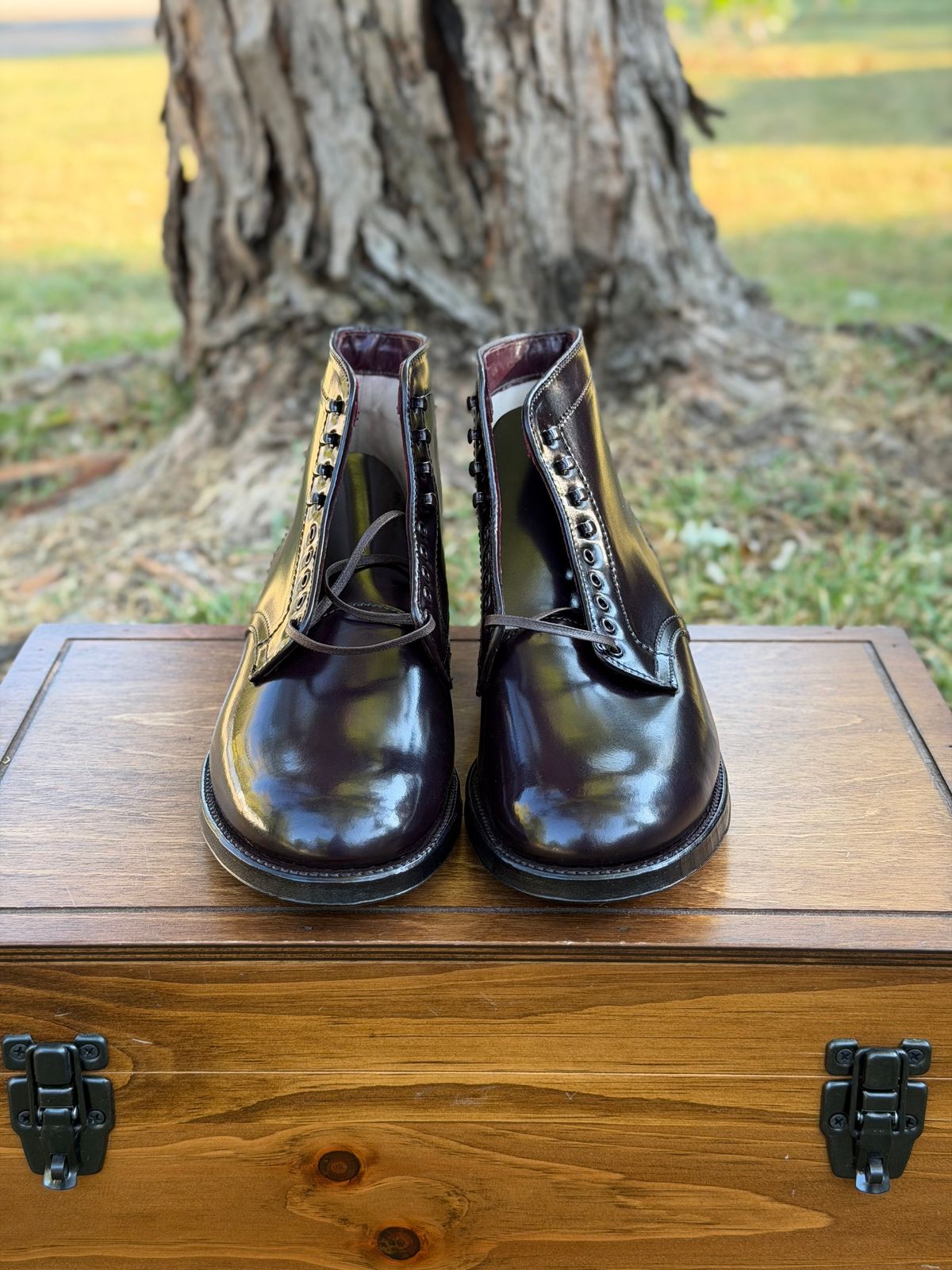 Photo by itsyaboisqueak on October 2, 2025 of the Alden 4600H Plain Toe Boot in Horween Color 8 Shell Cordovan.
