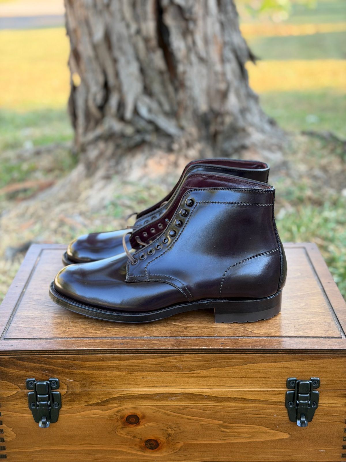 Photo by itsyaboisqueak on October 2, 2025 of the Alden 4600H Plain Toe Boot in Horween Color 8 Shell Cordovan.
