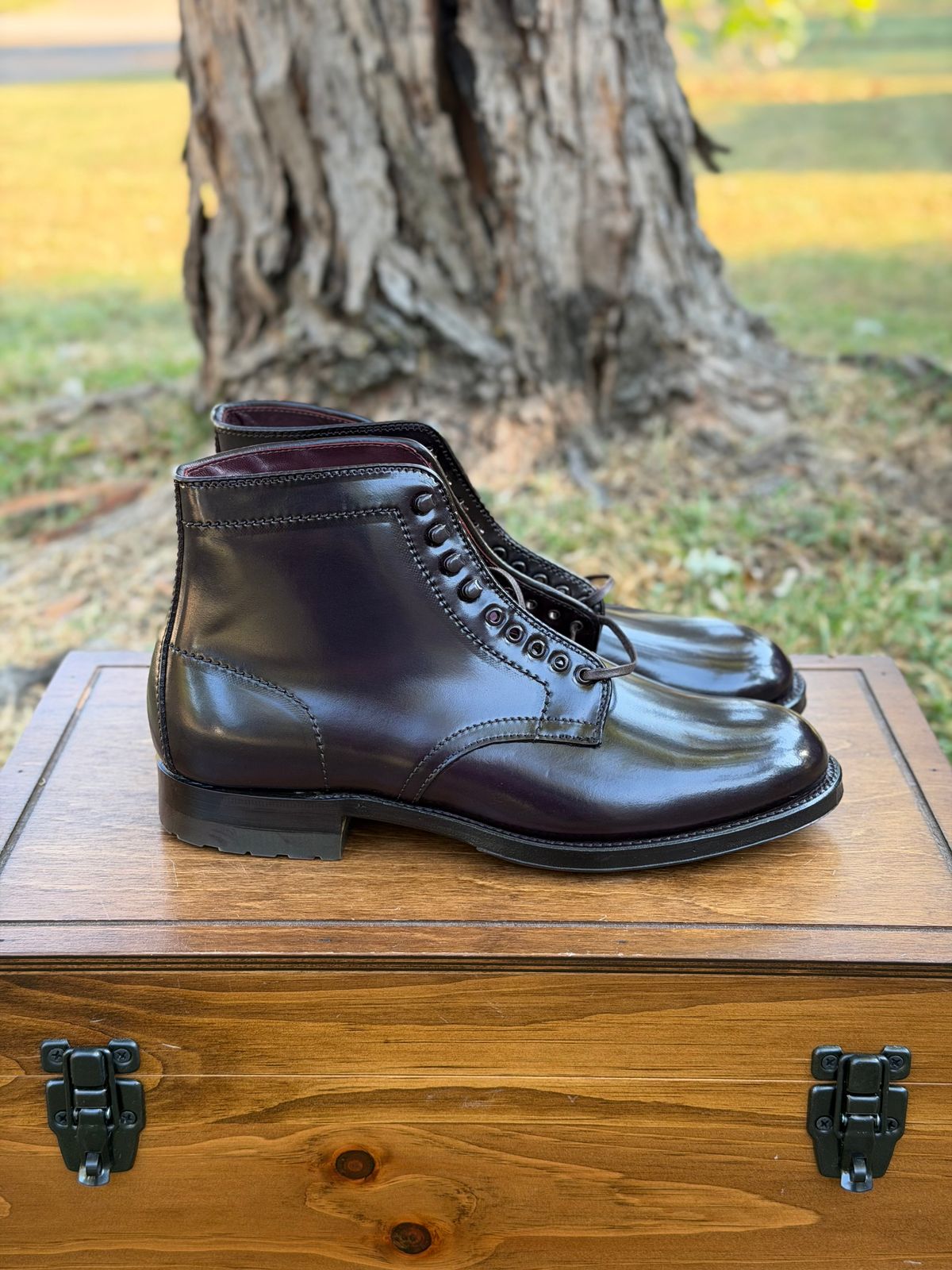 Photo by itsyaboisqueak on October 2, 2025 of the Alden 4600H Plain Toe Boot in Horween Color 8 Shell Cordovan.