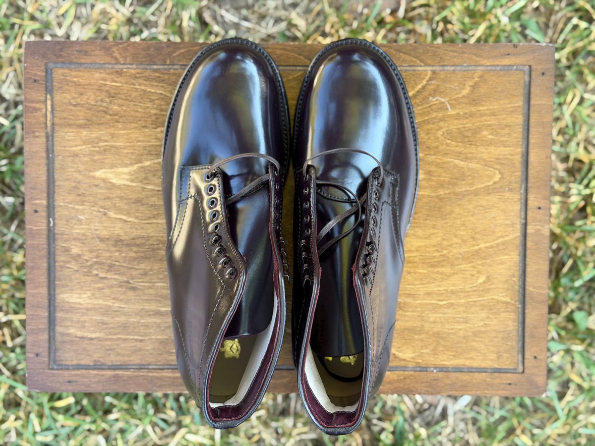 Photo by itsyaboisqueak on October 2, 2025 of the Alden 4600H Plain Toe Boot in Horween Color 8 Shell Cordovan.