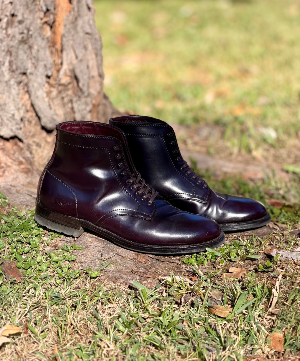 Photo by itsyaboisqueak on November 2, 2025 of the Alden 4600H Plain Toe Boot in Horween Color 8 Shell Cordovan.