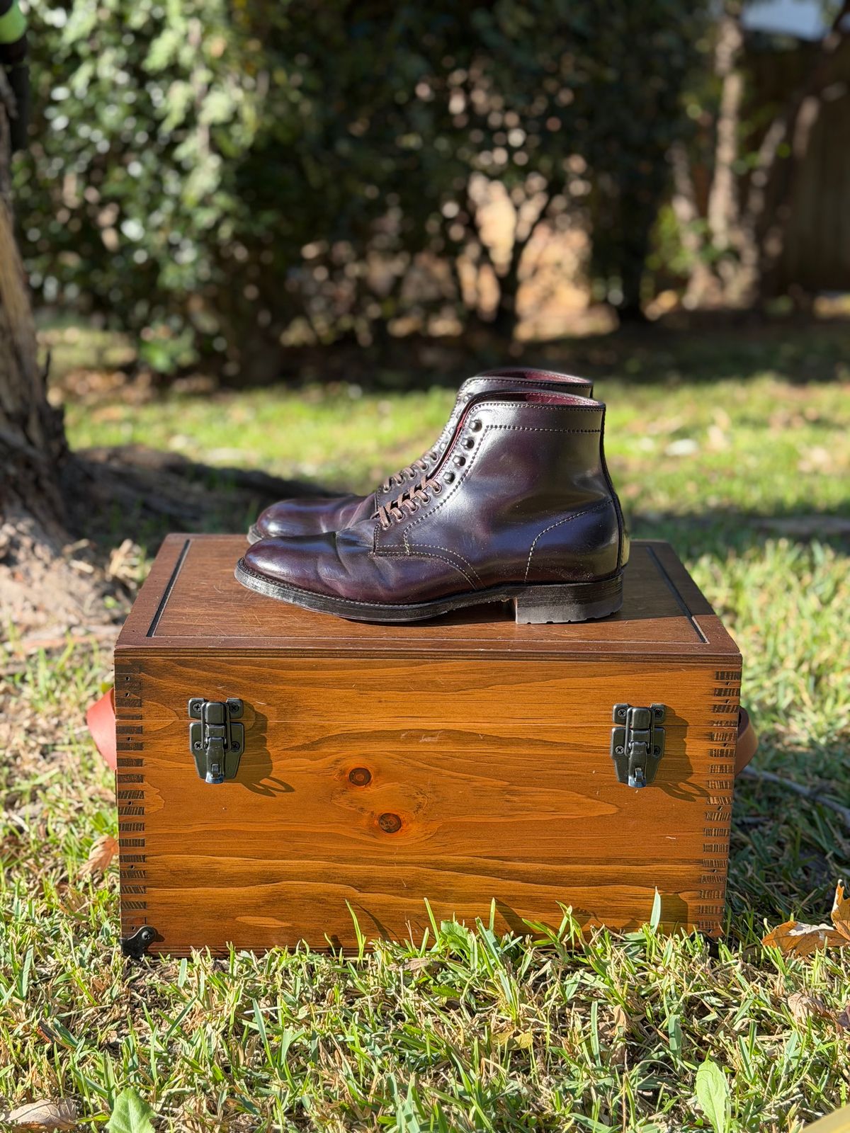 Photo by itsyaboisqueak on November 2, 2025 of the Alden 4600H Plain Toe Boot in Horween Color 8 Shell Cordovan.
