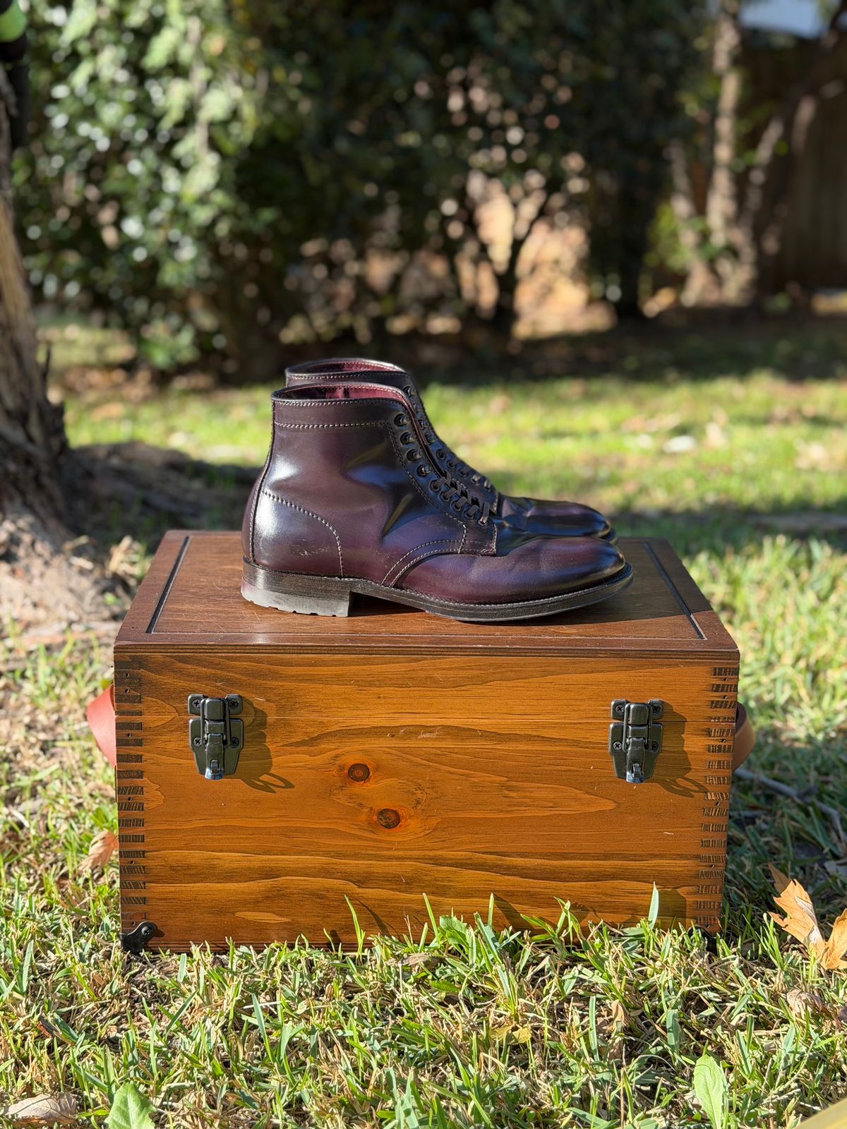 Photo by itsyaboisqueak on November 2, 2025 of the Alden 4600H Plain Toe Boot in Horween Color 8 Shell Cordovan.