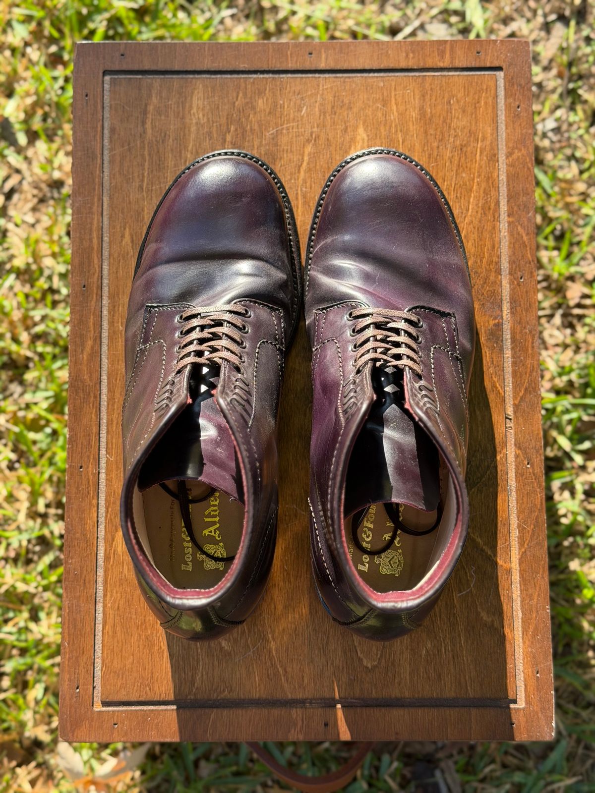 Photo by itsyaboisqueak on November 2, 2025 of the Alden 4600H Plain Toe Boot in Horween Color 8 Shell Cordovan.