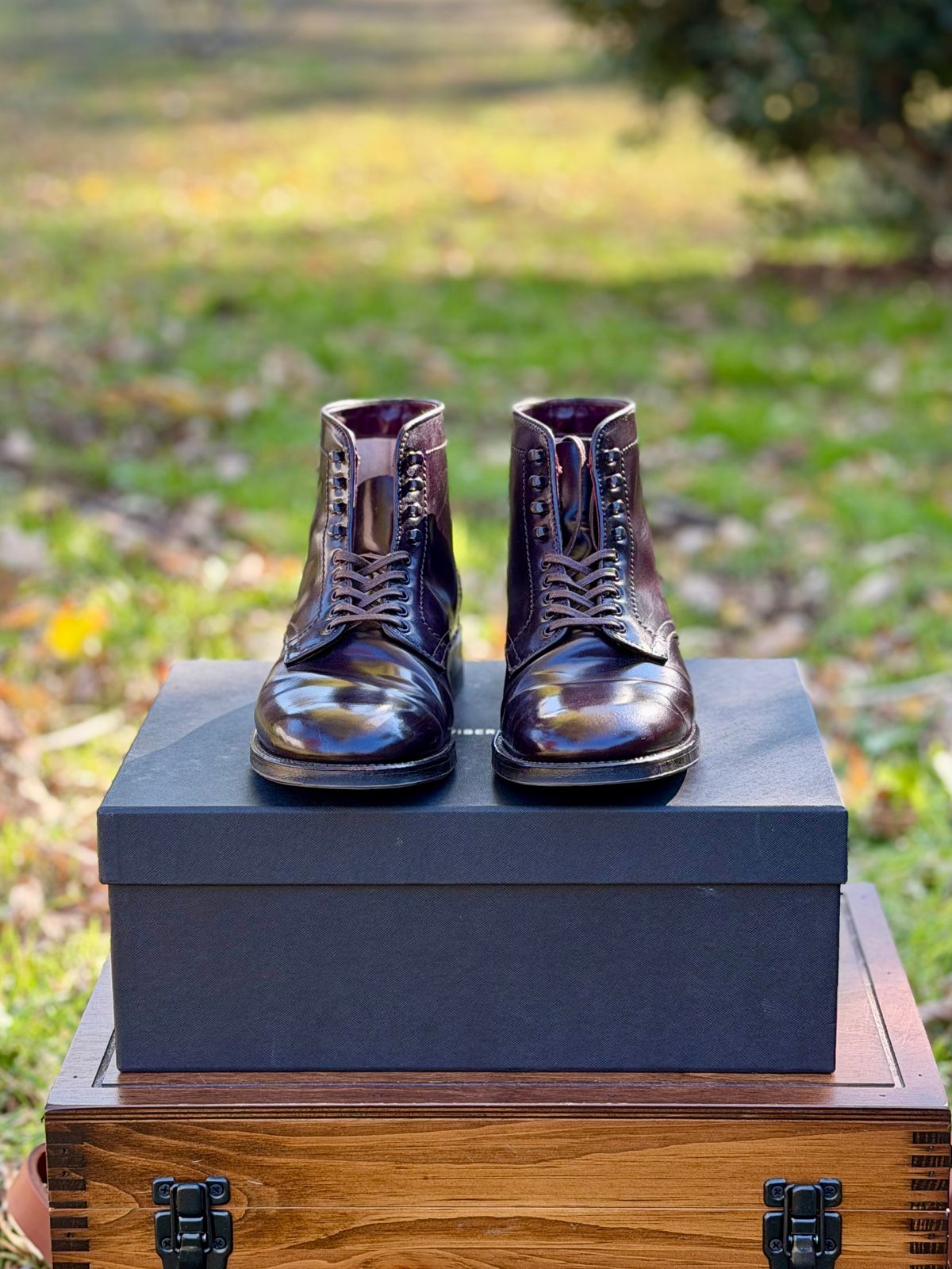 Photo by itsyaboisqueak on December 2, 2025 of the Alden 4600H Plain Toe Boot in Horween Color 8 Shell Cordovan.
