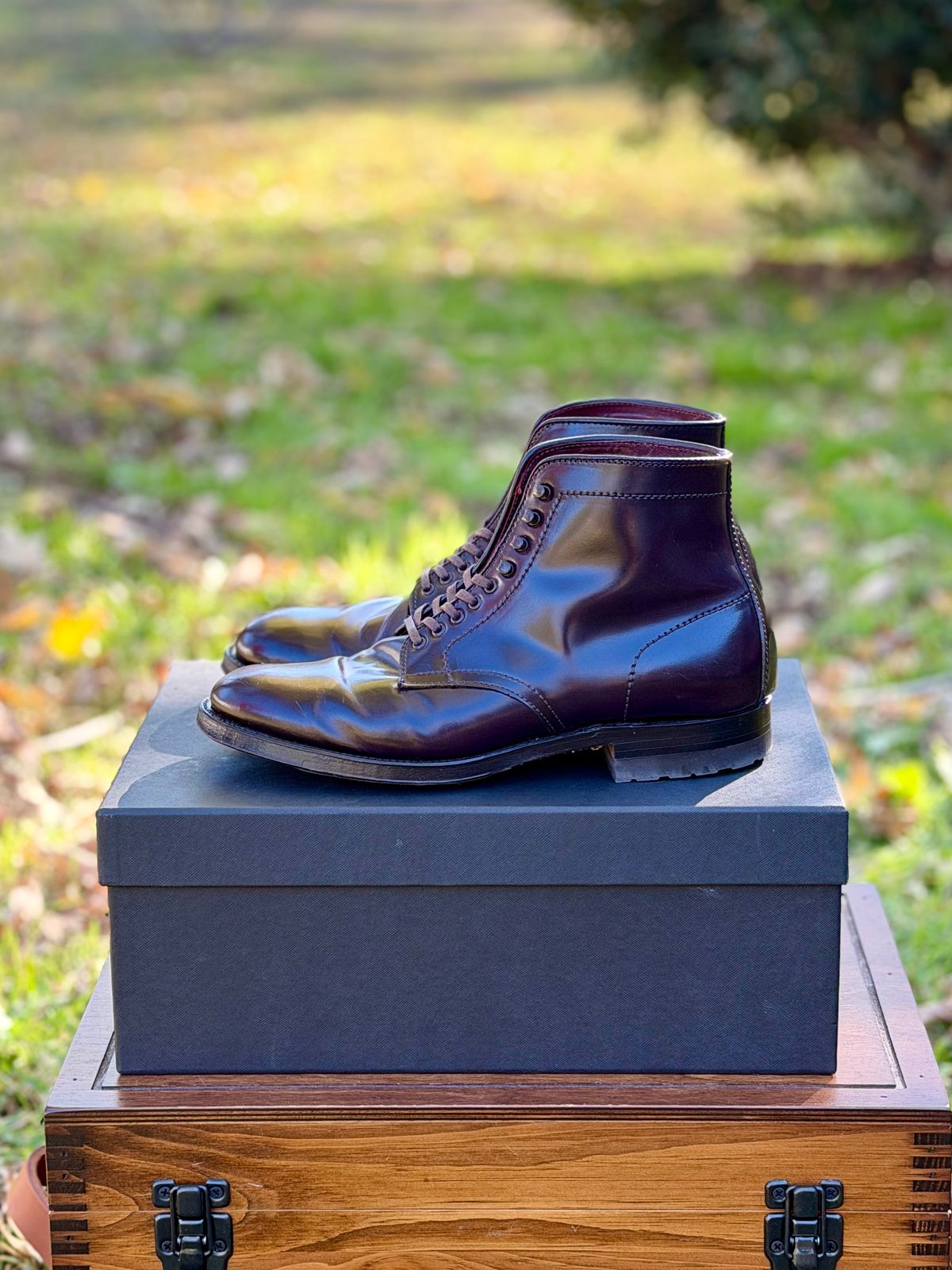 Photo by itsyaboisqueak on December 2, 2025 of the Alden 4600H Plain Toe Boot in Horween Color 8 Shell Cordovan.