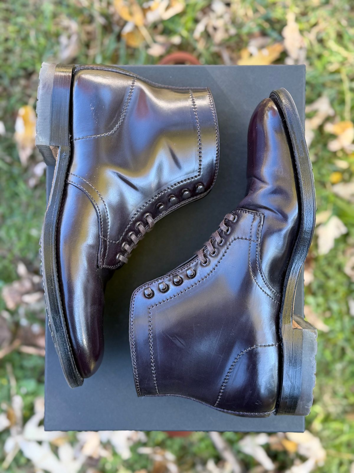 Photo by itsyaboisqueak on December 2, 2025 of the Alden 4600H Plain Toe Boot in Horween Color 8 Shell Cordovan.