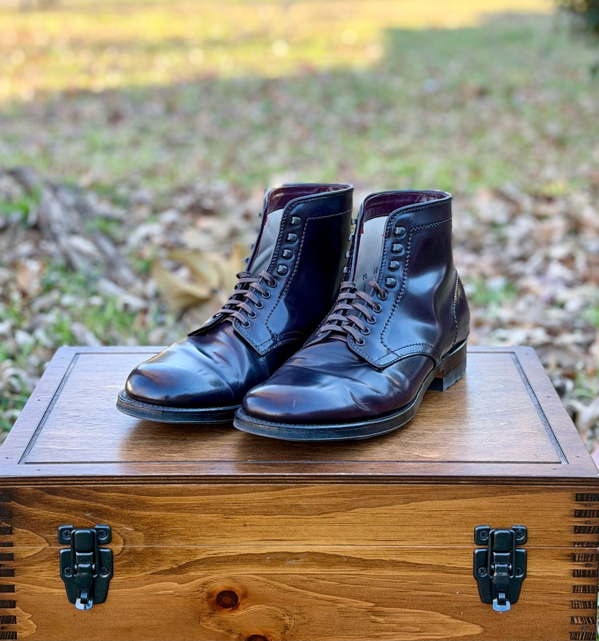 Photo by itsyaboisqueak on January 2, 2026 of the Alden 4600H Plain Toe Boot in Horween Color 8 Shell Cordovan.