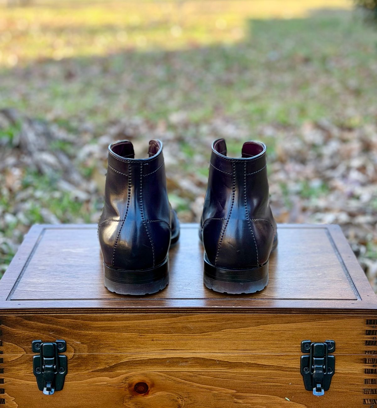 Photo by itsyaboisqueak on January 2, 2026 of the Alden 4600H Plain Toe Boot in Horween Color 8 Shell Cordovan.