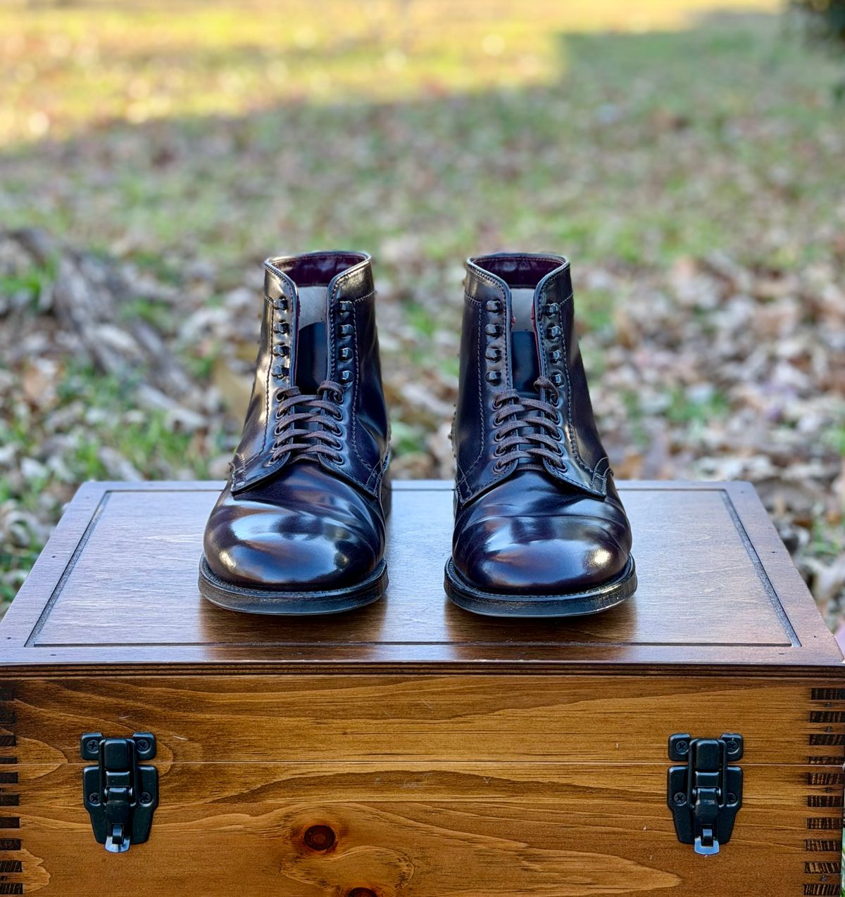 Photo by itsyaboisqueak on January 2, 2026 of the Alden 4600H Plain Toe Boot in Horween Color 8 Shell Cordovan.