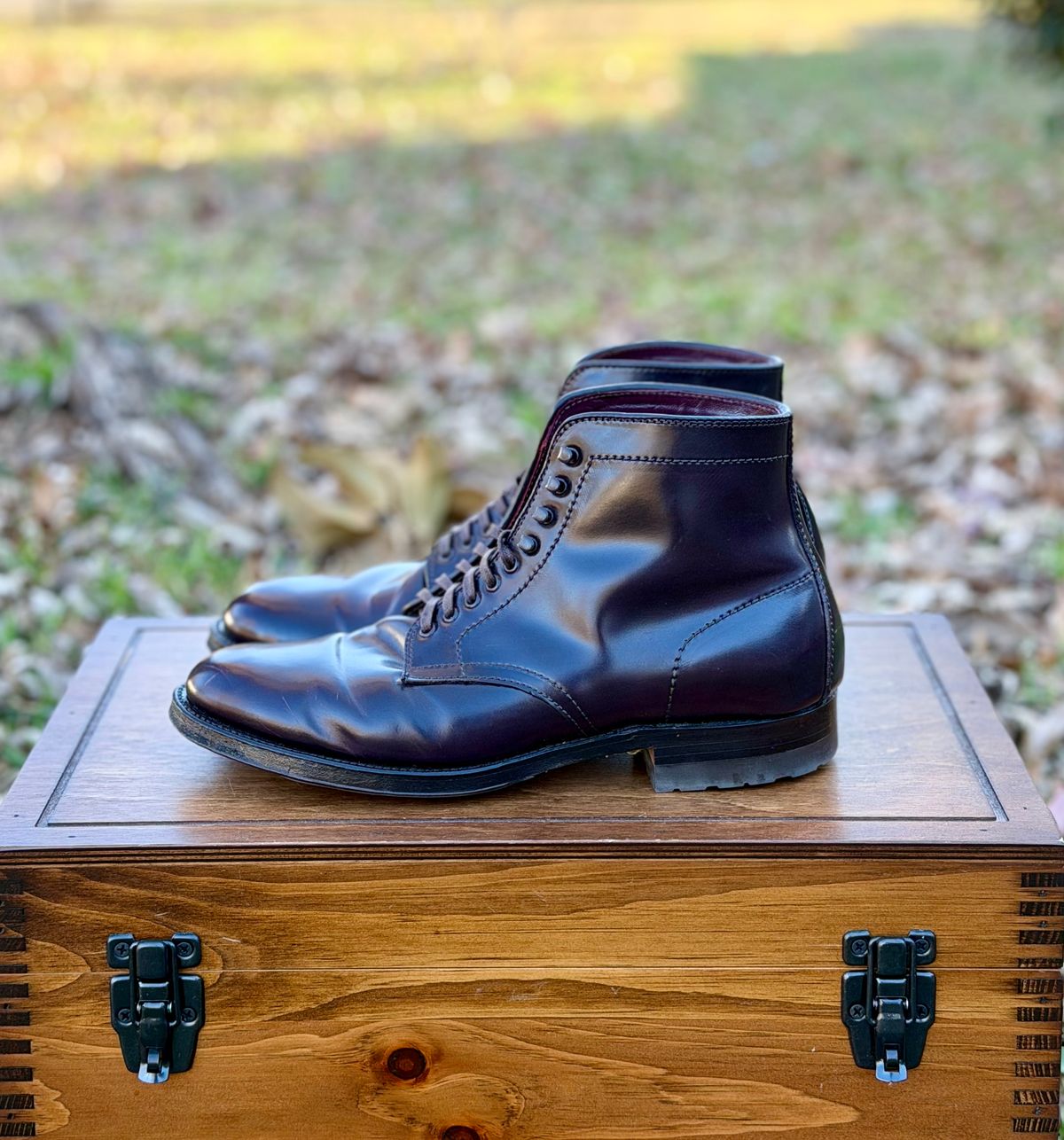 Photo by itsyaboisqueak on January 2, 2026 of the Alden 4600H Plain Toe Boot in Horween Color 8 Shell Cordovan.