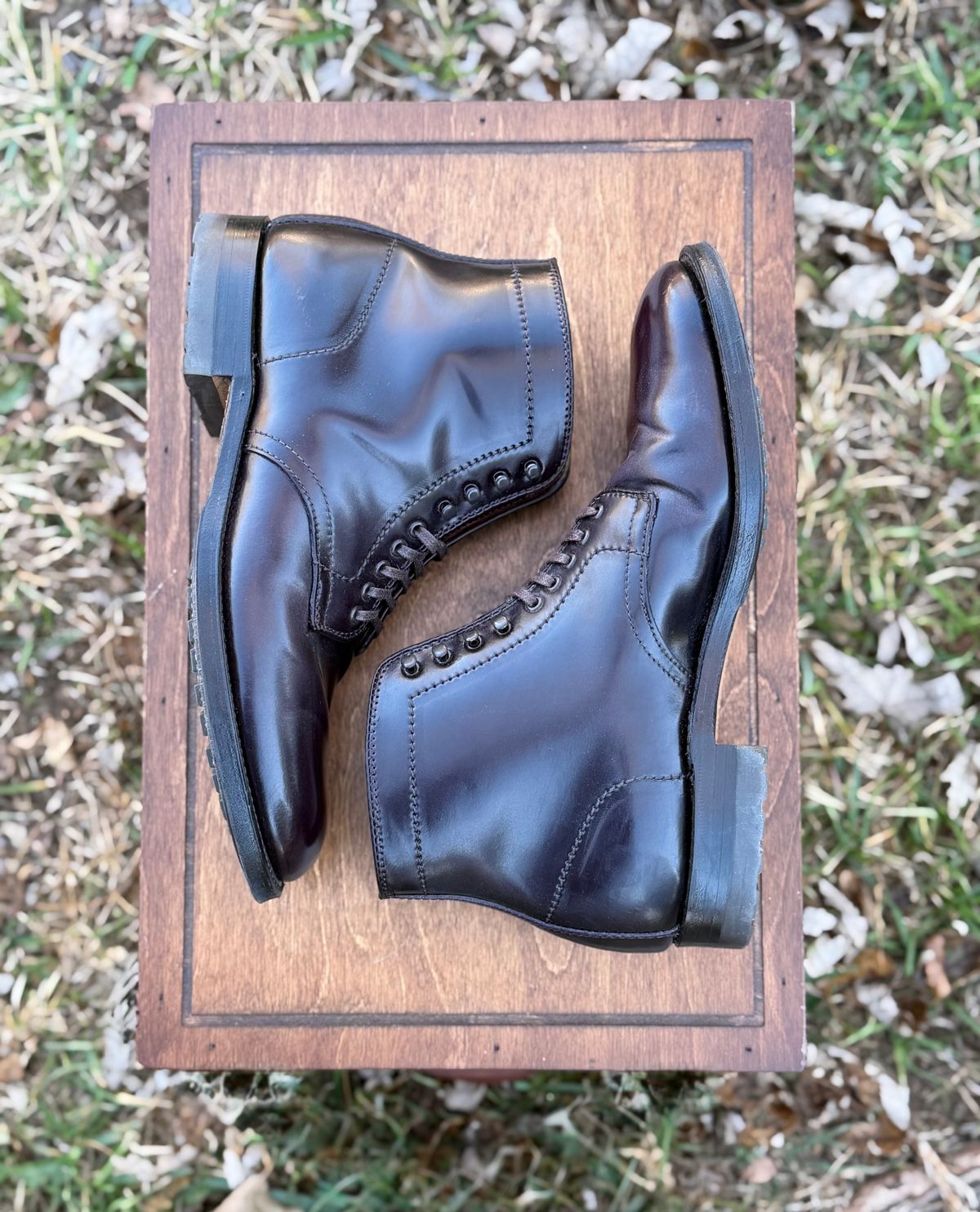 Photo by itsyaboisqueak on January 2, 2026 of the Alden 4600H Plain Toe Boot in Horween Color 8 Shell Cordovan.