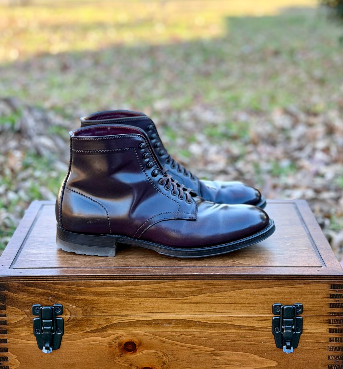 Photo by itsyaboisqueak on January 2, 2026 of the Alden 4600H Plain Toe Boot in Horween Color 8 Shell Cordovan.