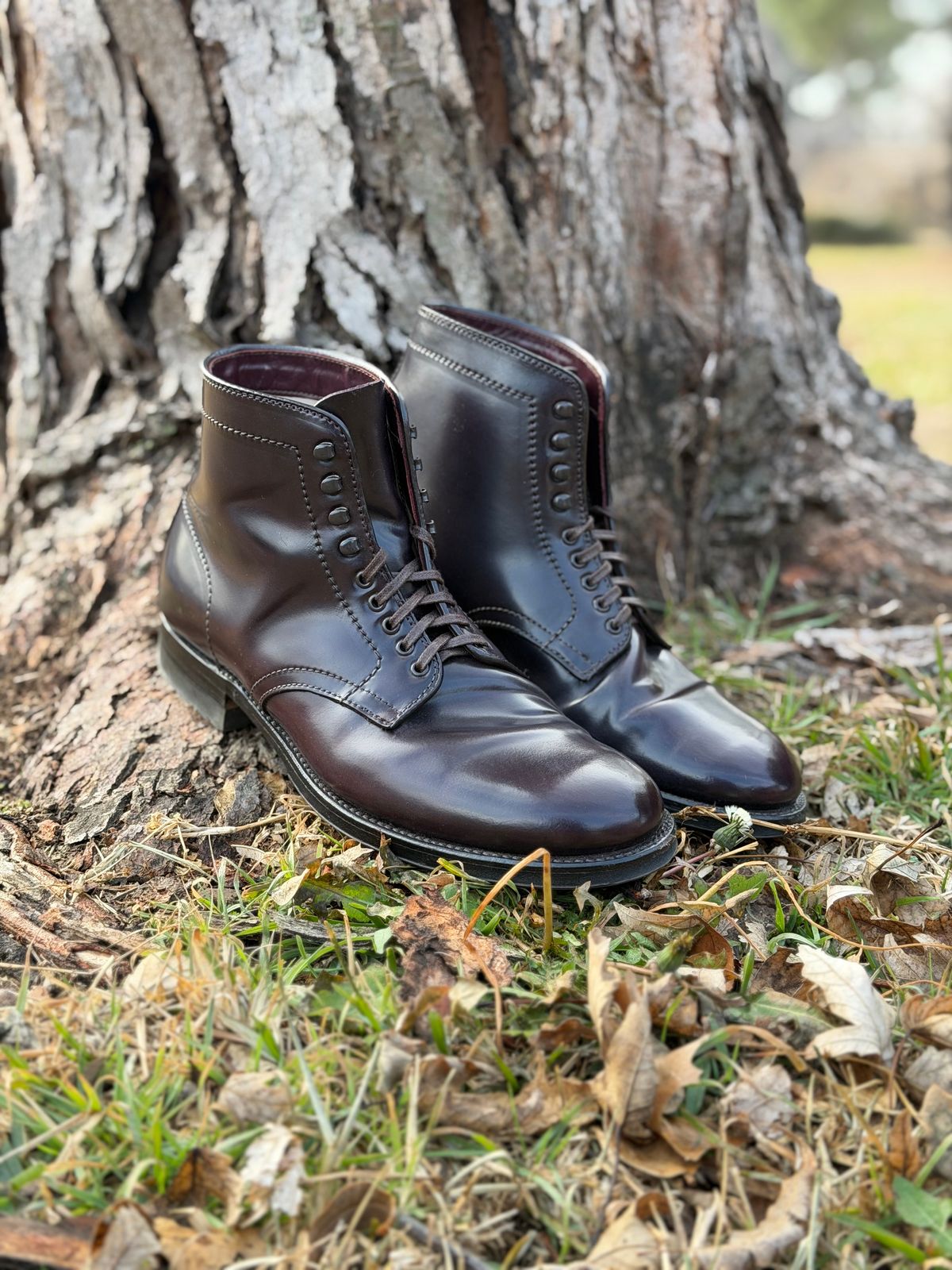 Photo by itsyaboisqueak on February 3, 2026 of the Alden 4600H Plain Toe Boot in Horween Color 8 Shell Cordovan.