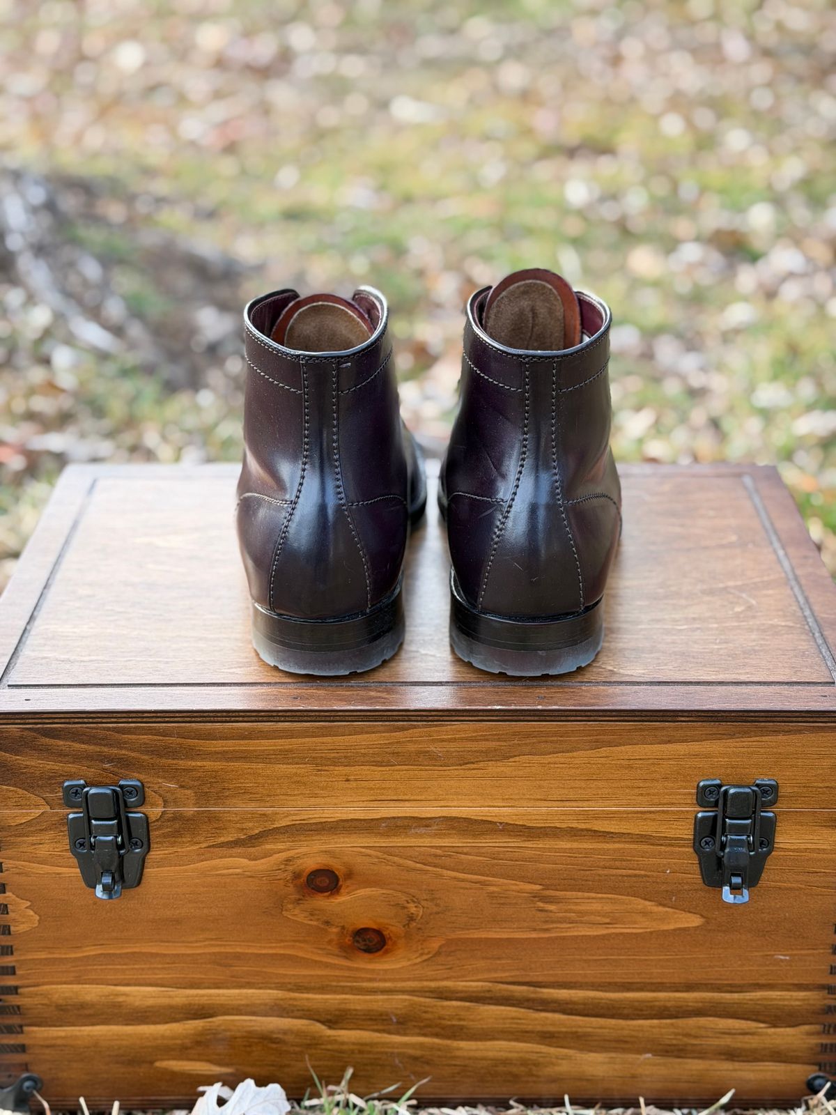 Photo by itsyaboisqueak on February 3, 2026 of the Alden 4600H Plain Toe Boot in Horween Color 8 Shell Cordovan.