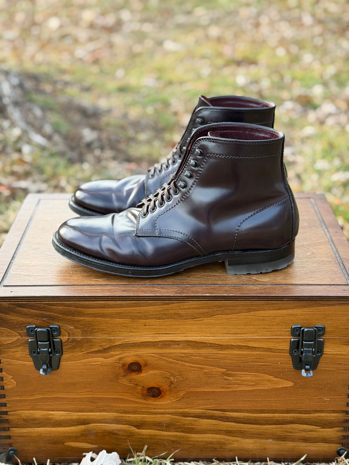 Photo by itsyaboisqueak on February 3, 2026 of the Alden 4600H Plain Toe Boot in Horween Color 8 Shell Cordovan.