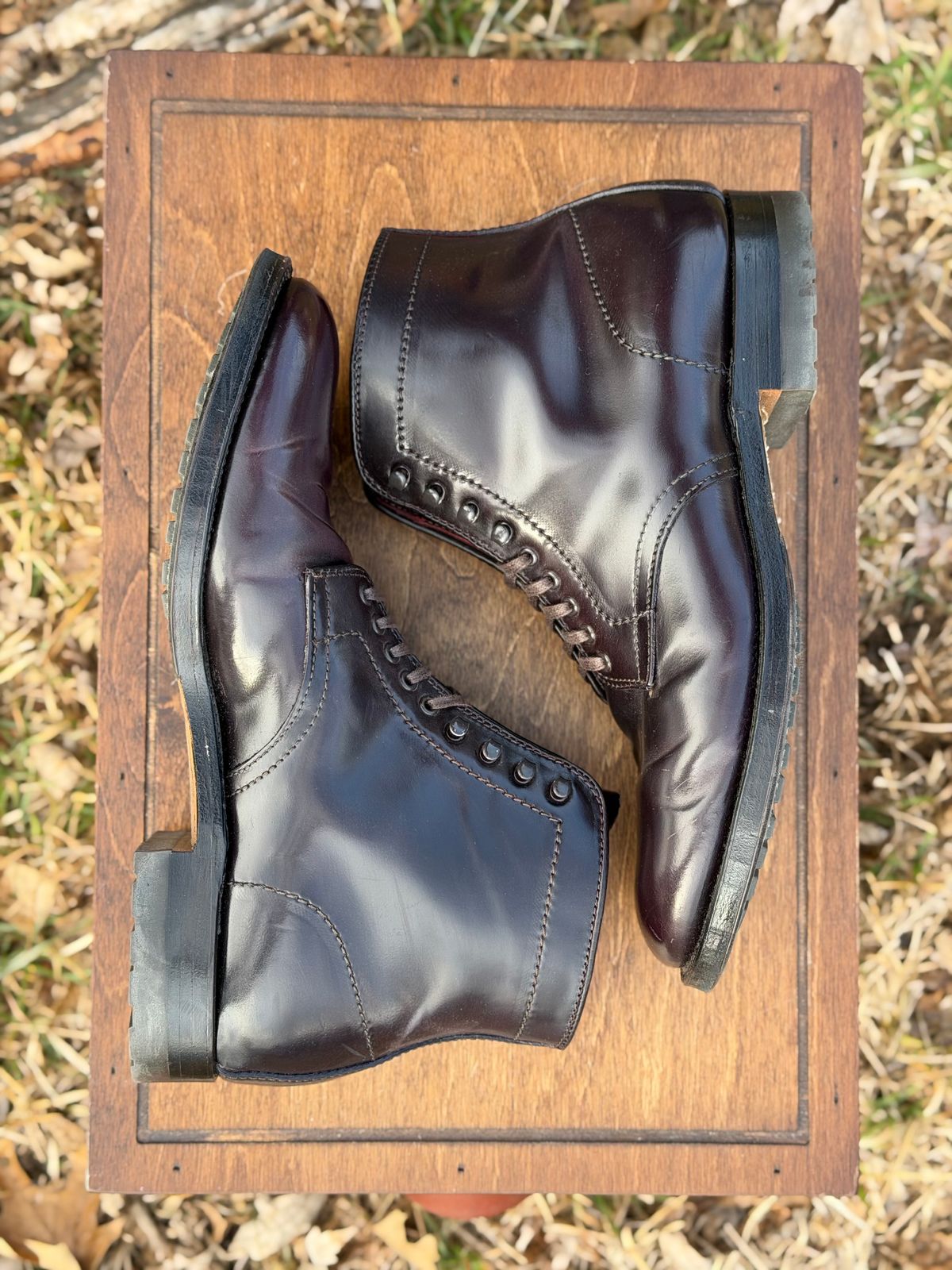 Photo by itsyaboisqueak on February 3, 2026 of the Alden 4600H Plain Toe Boot in Horween Color 8 Shell Cordovan.