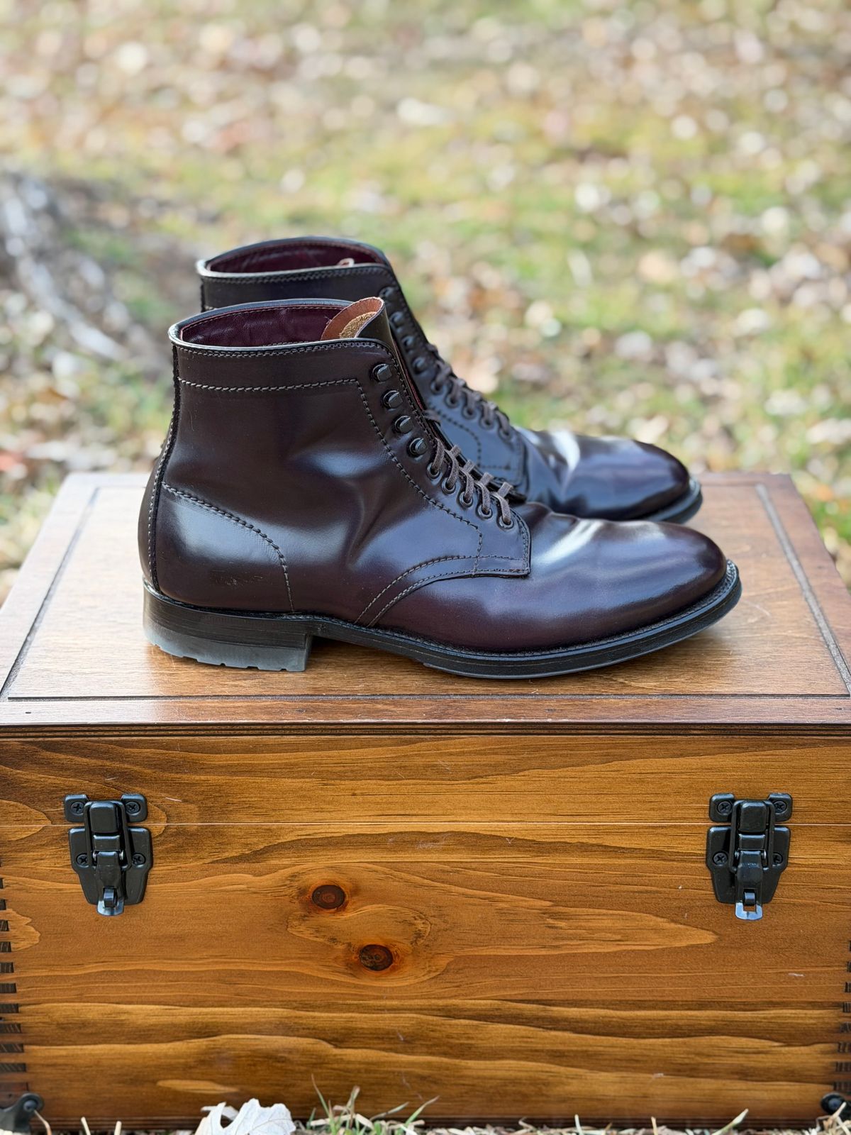 Photo by itsyaboisqueak on February 3, 2026 of the Alden 4600H Plain Toe Boot in Horween Color 8 Shell Cordovan.