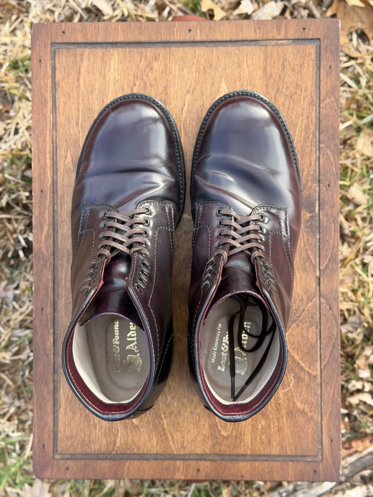 Photo by itsyaboisqueak on February 3, 2026 of the Alden 4600H Plain Toe Boot in Horween Color 8 Shell Cordovan.