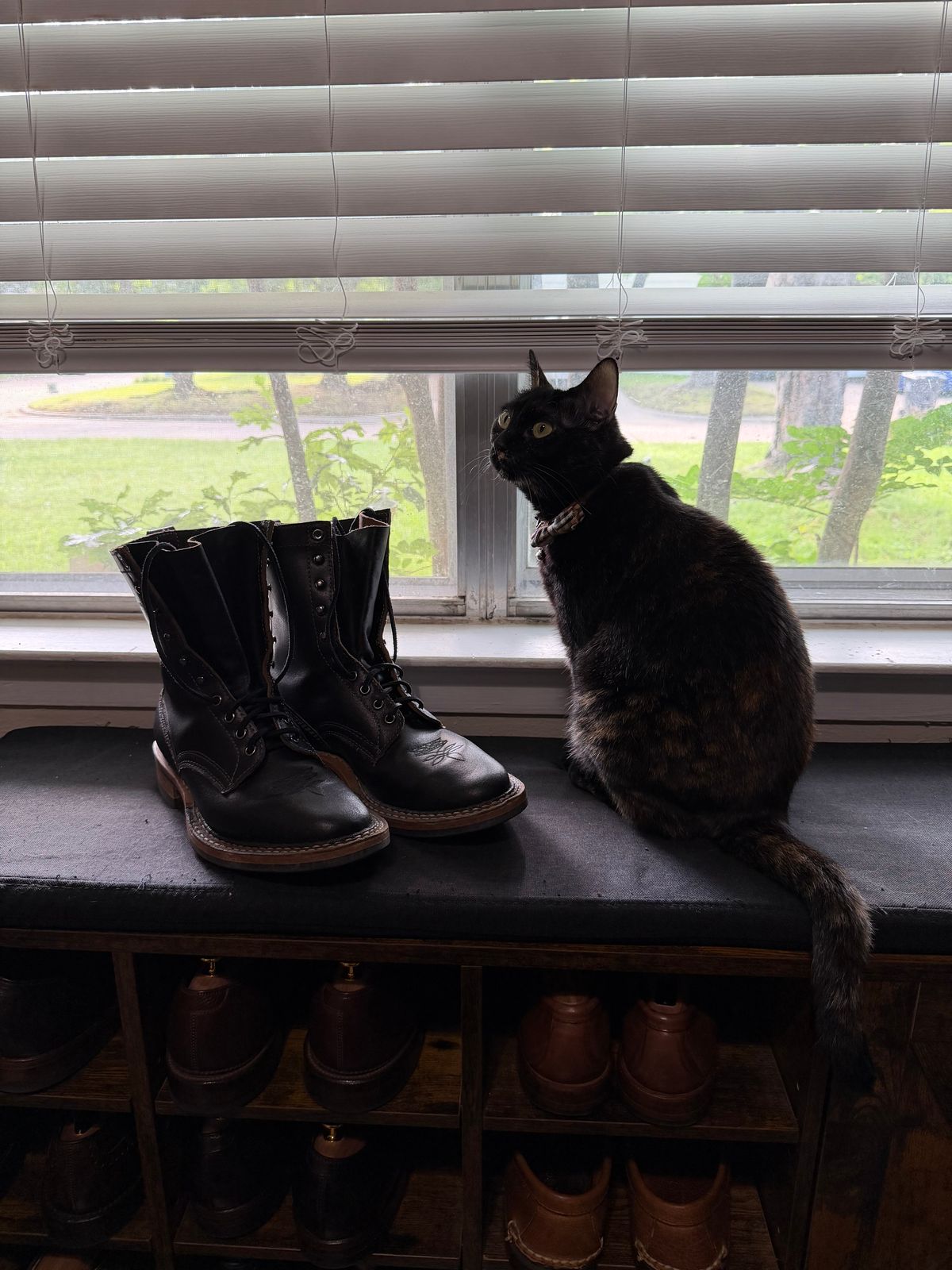 Photo by itsyaboisqueak on June 3, 2026 of the White's 375 in Horween Black Waxed Flesh.