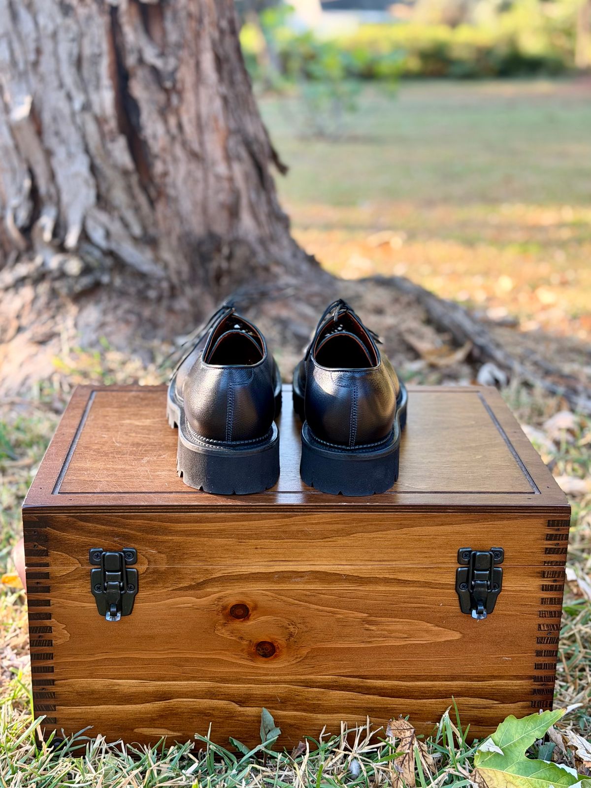 Photo by itsyaboisqueak on October 17, 2025 of the Viberg Bastion Oxford in D'Annonay Black Alpine Grain Calf.