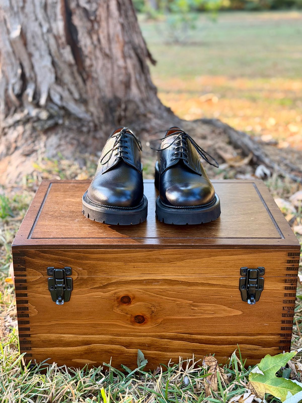 Photo by itsyaboisqueak on October 17, 2025 of the Viberg Bastion Oxford in D'Annonay Black Alpine Grain Calf.
