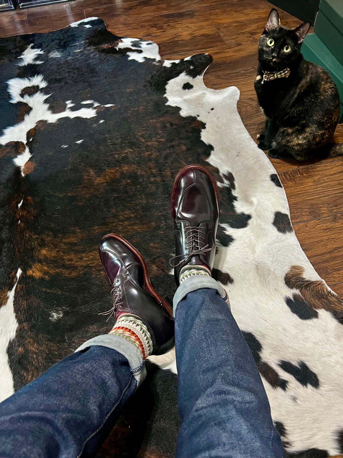 Photo by itsyaboisqueak on August 7, 2025 of the Alden V-Tip Blucher in Horween Color 8 Shell Cordovan.