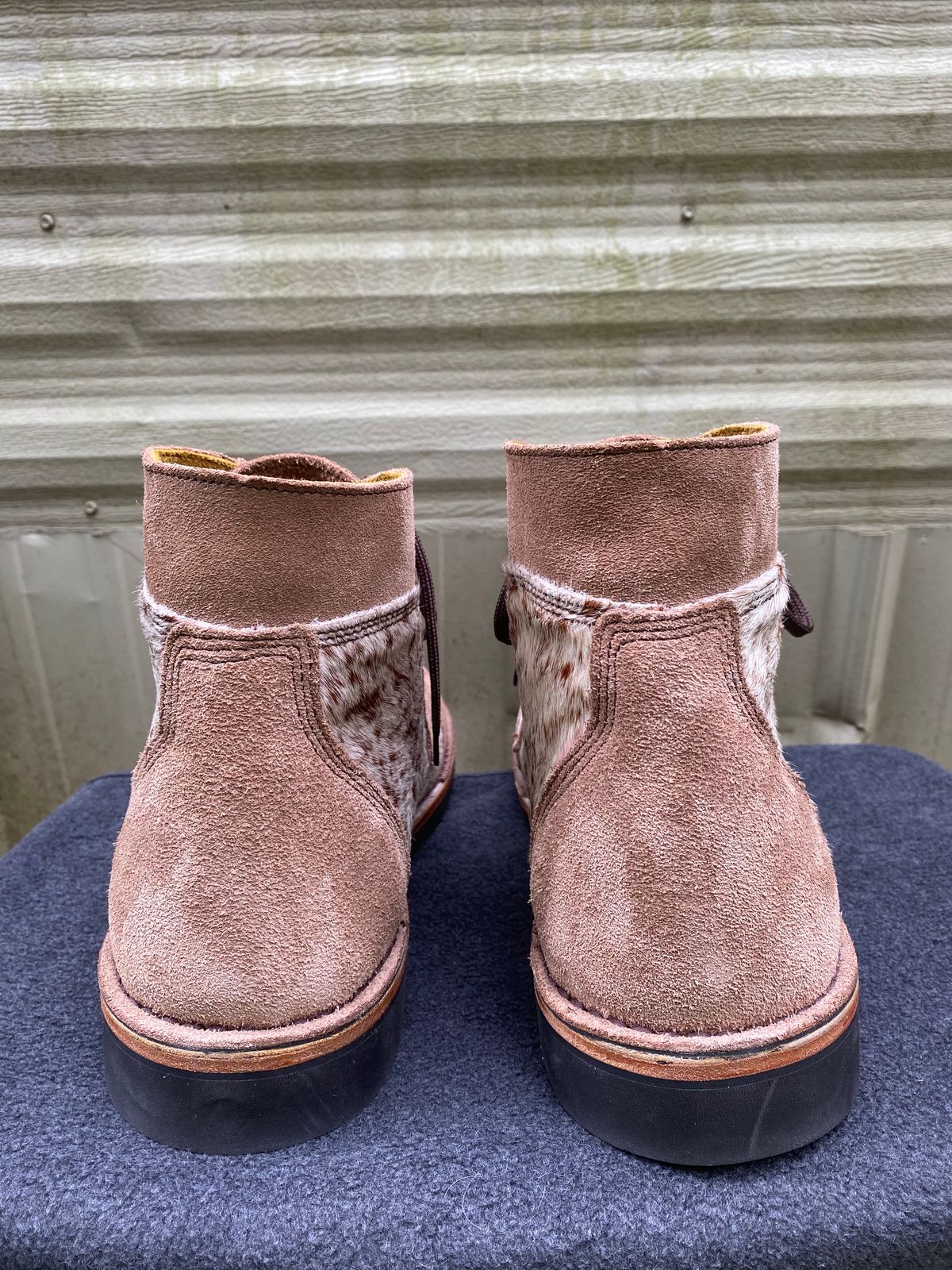 Photo by wedgebert on October 1, 2024 of the Jim Green Numzaan in Nguni Cattle Vamp/Fawn Roughout.