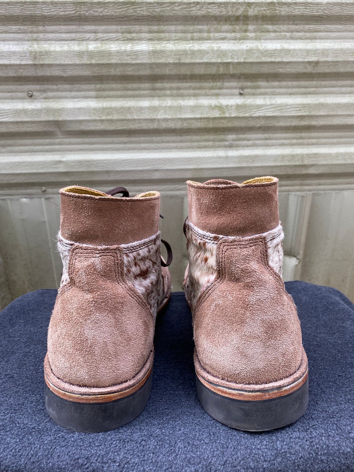 Photo by wedgebert on November 5, 2024 of the Jim Green Numzaan in Nguni Cattle Vamp/Fawn Roughout.