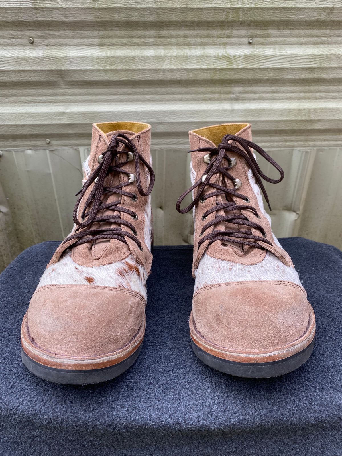 Photo by wedgebert on November 5, 2024 of the Jim Green Numzaan in Nguni Cattle Vamp/Fawn Roughout.