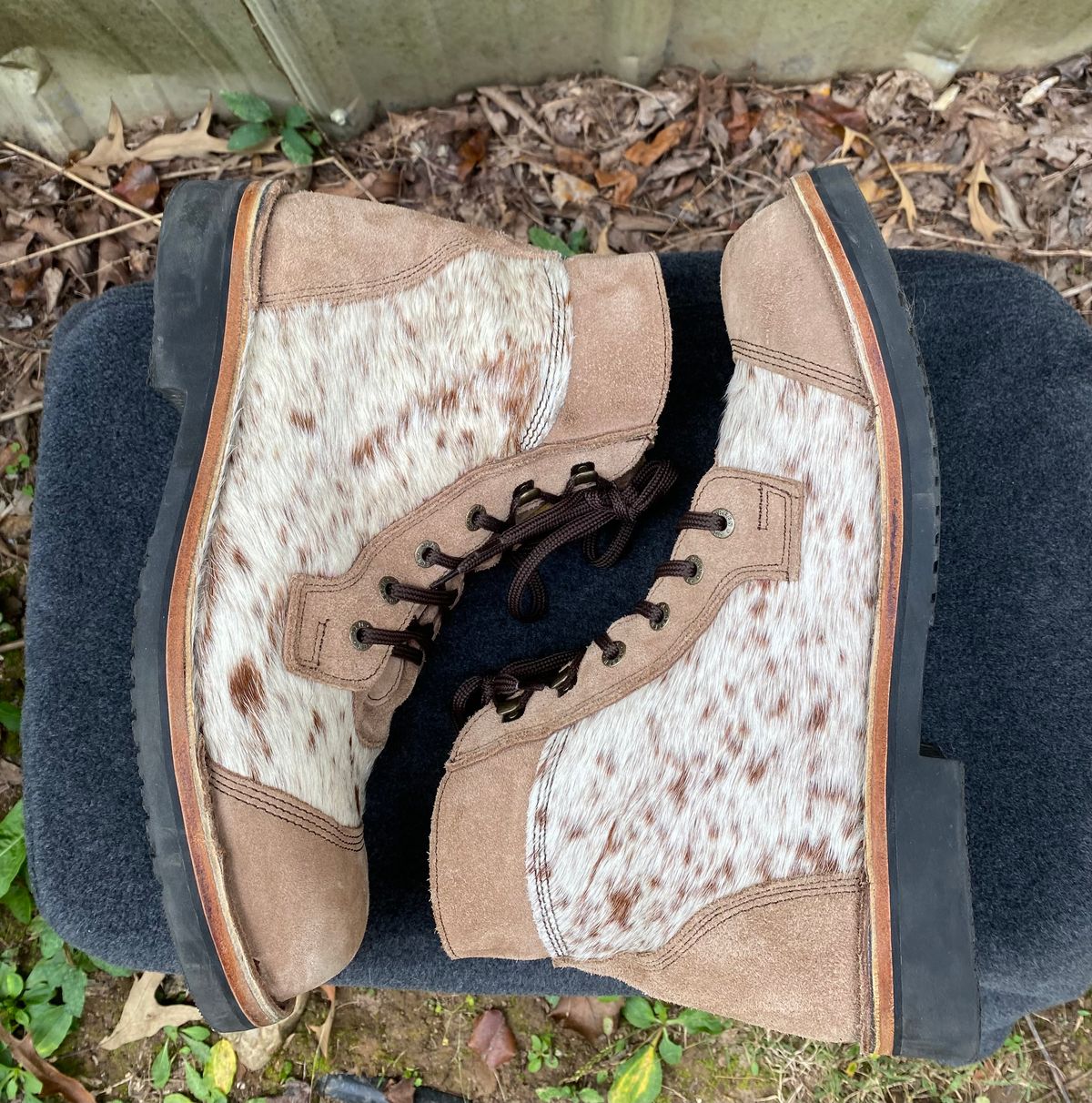 Photo by wedgebert on November 5, 2024 of the Jim Green Numzaan in Nguni Cattle Vamp/Fawn Roughout.