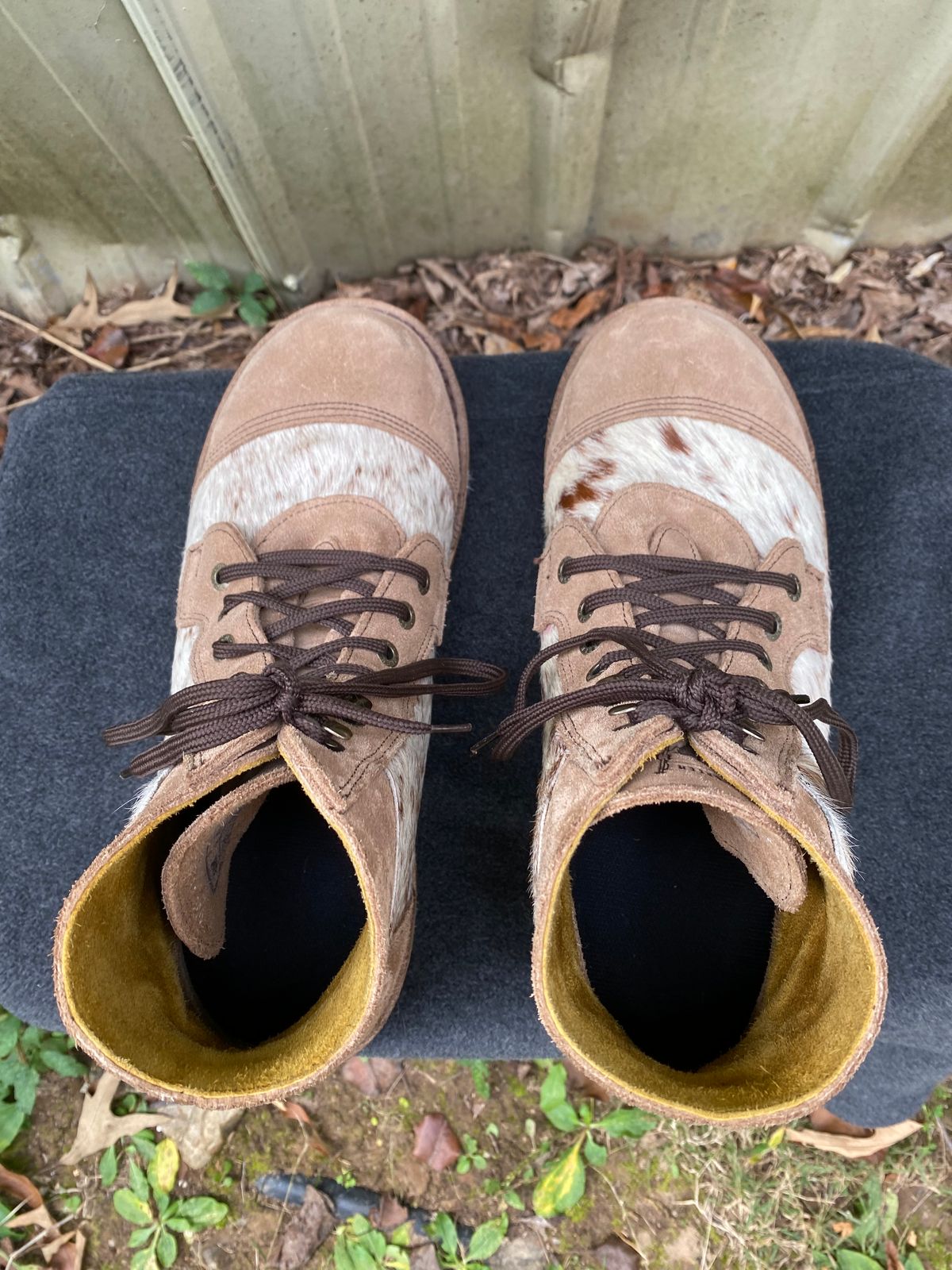 Photo by wedgebert on November 5, 2024 of the Jim Green Numzaan in Nguni Cattle Vamp/Fawn Roughout.