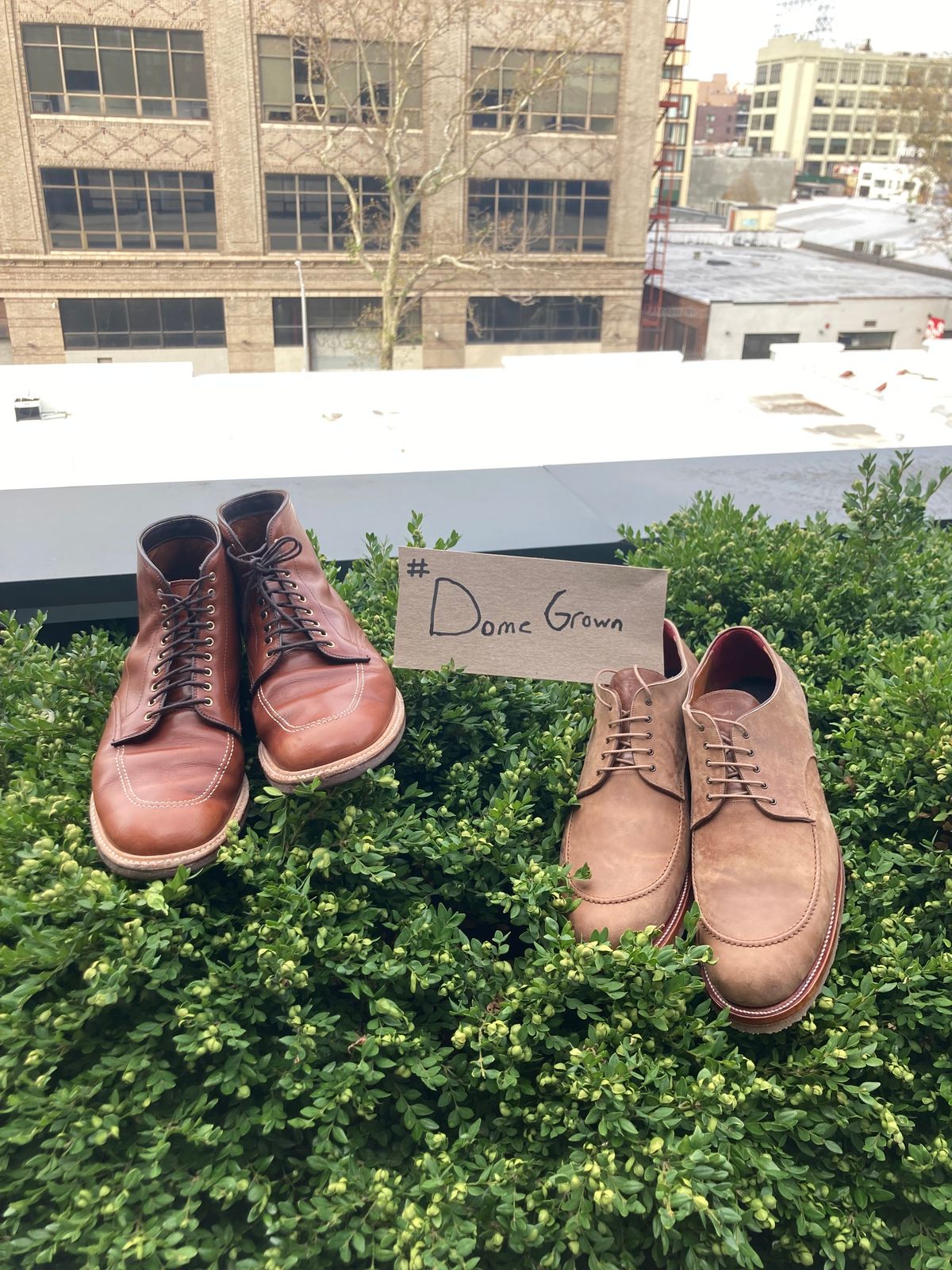 Photo by jamwithsam on November 4, 2023 of the Alden Indy Boot in Brown Atlantic Club Calf.
