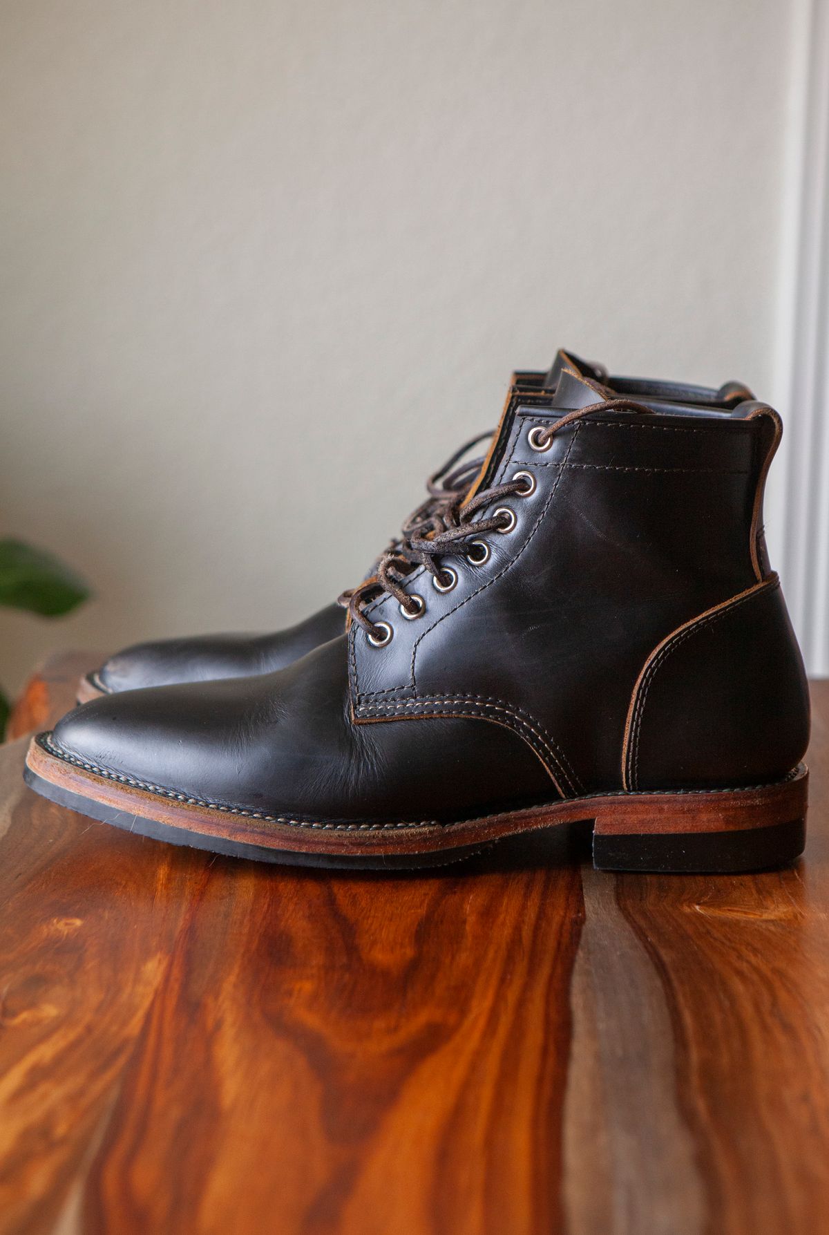 Photo by pigeontree on November 2, 2022 of the Santalum x PTC The Klondike Service Boot in S.B. Foot Black Klondike.