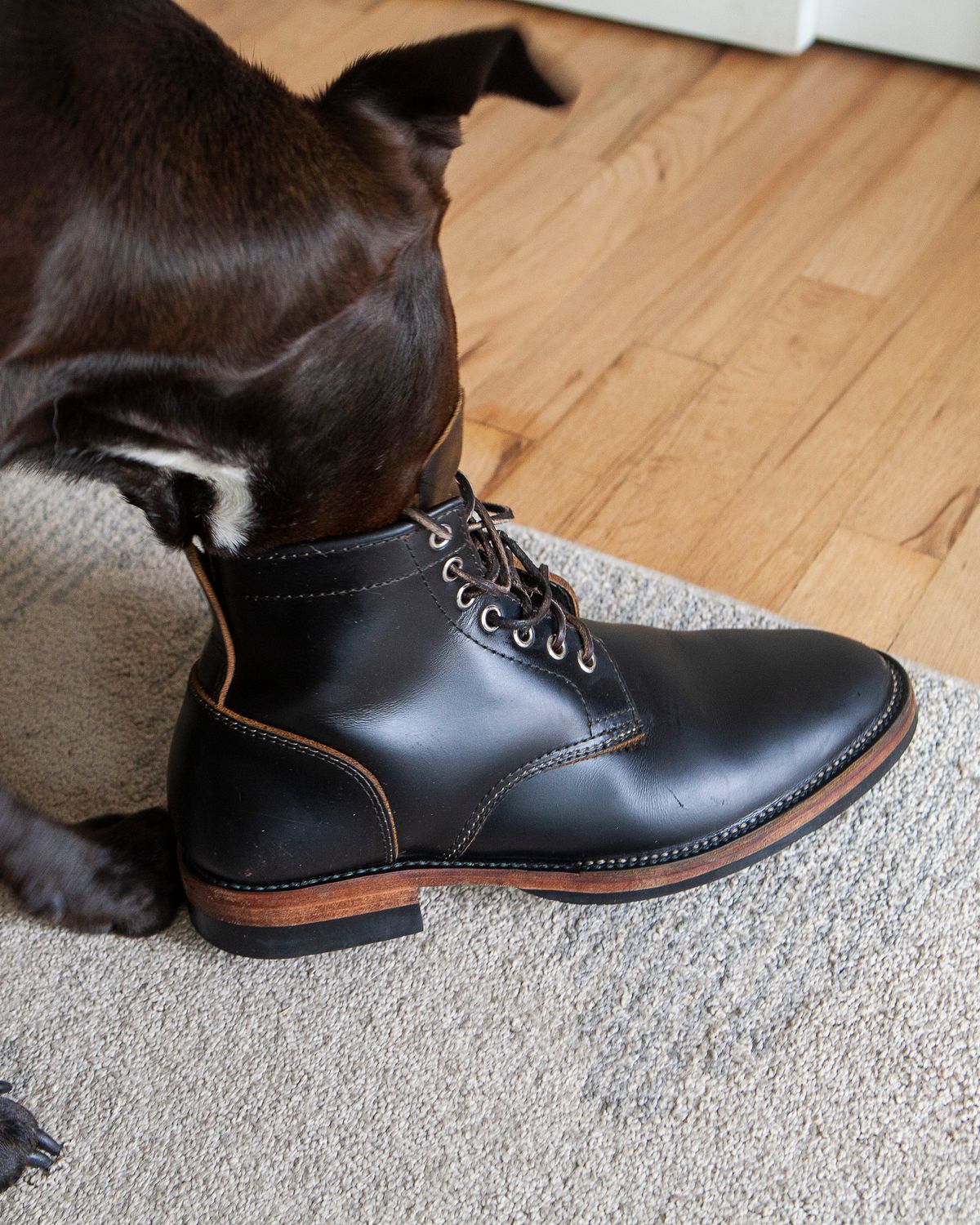 Photo by pigeontree on November 2, 2022 of the Santalum x PTC The Klondike Service Boot in S.B. Foot Black Klondike.