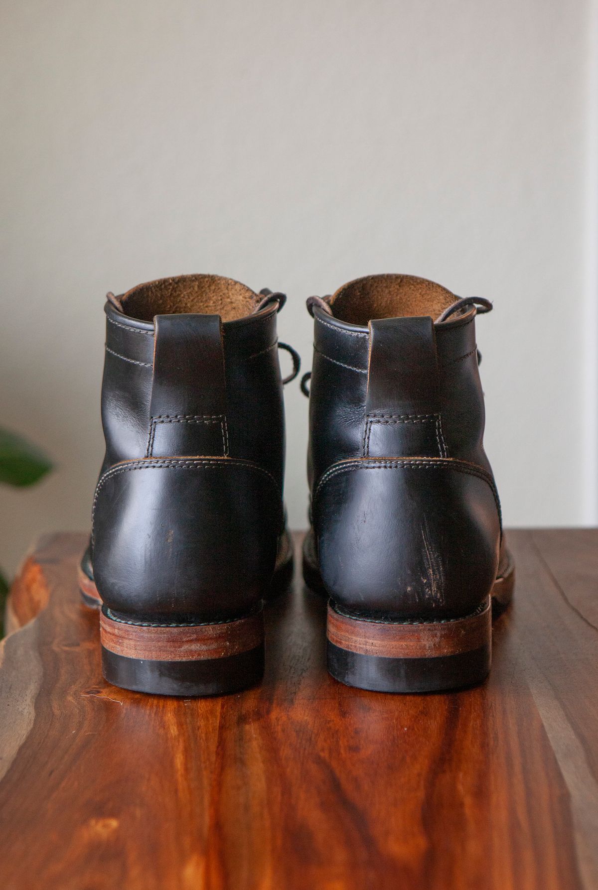 Photo by pigeontree on November 2, 2022 of the Santalum x PTC The Klondike Service Boot in S.B. Foot Black Klondike.