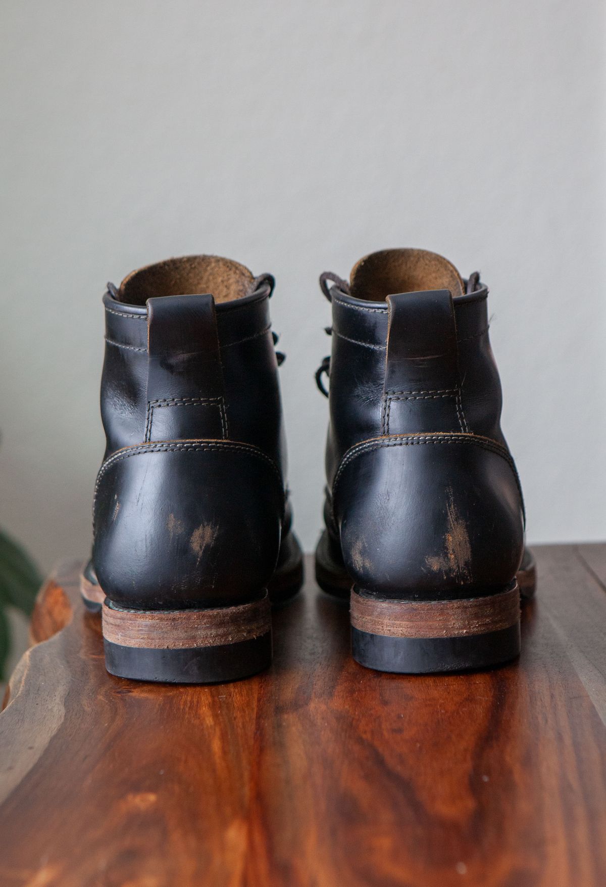 Photo by pigeontree on January 2, 2023 of the Santalum x PTC The Klondike Service Boot in S.B. Foot Black Klondike.