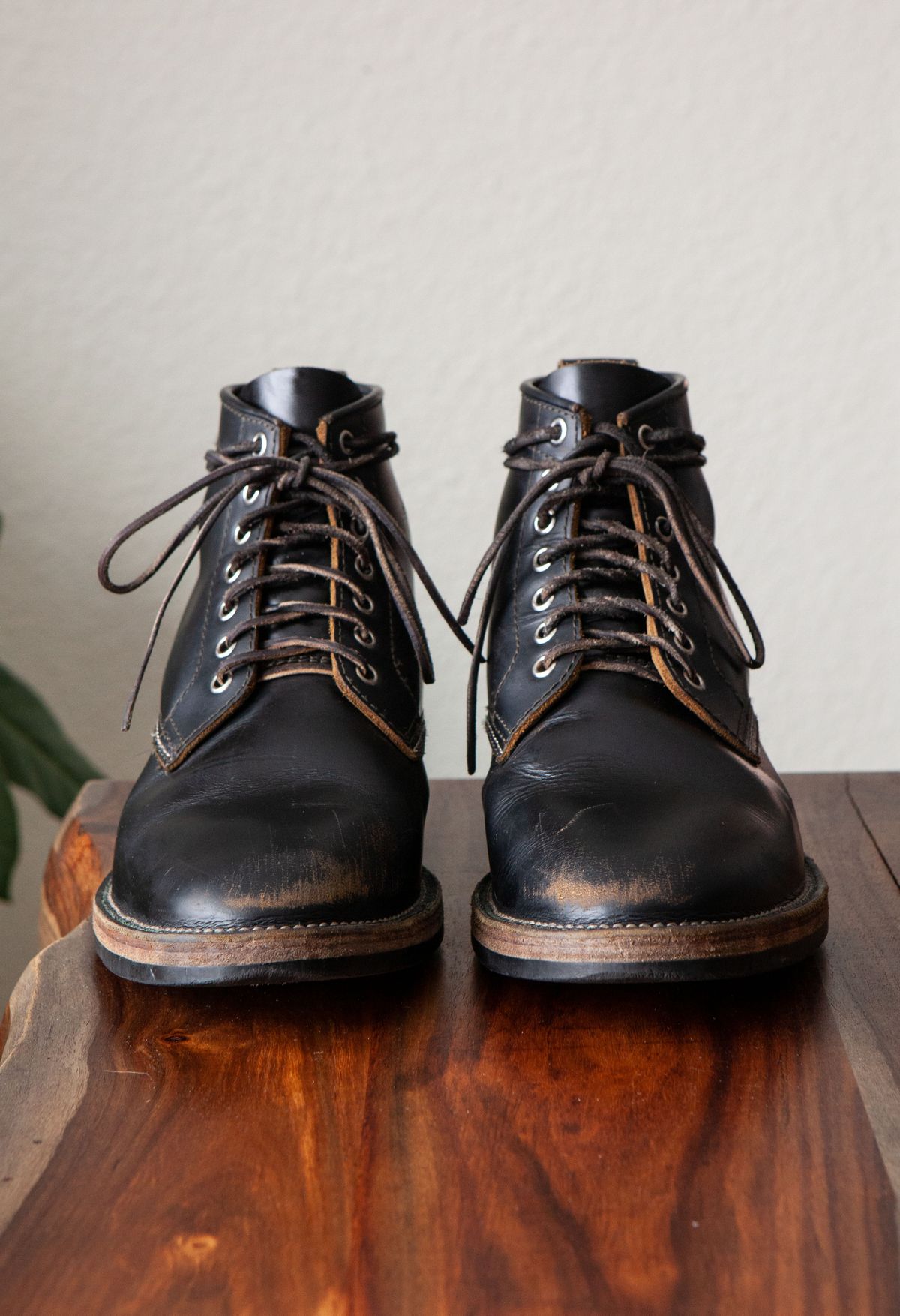 Photo by pigeontree on January 2, 2023 of the Santalum x PTC The Klondike Service Boot in S.B. Foot Black Klondike.