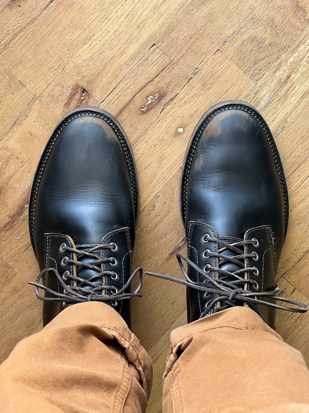 Photo by pigeontree on February 2, 2023 of the Santalum x PTC The Klondike Service Boot in S.B. Foot Black Klondike.