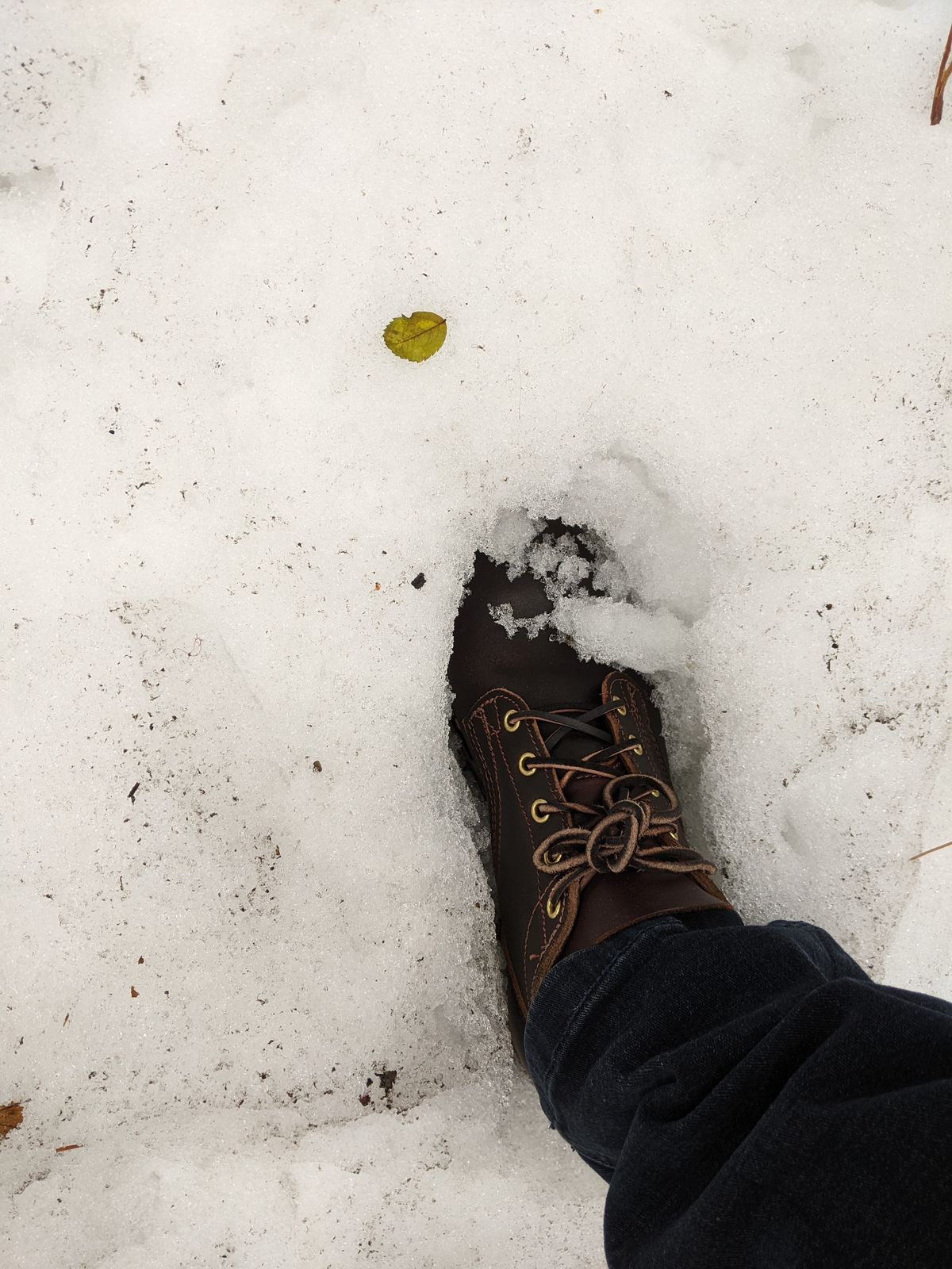 Photo by DonDiego on January 4, 2023 of the Nicks Comstock in Horween Brown Waxed Flesh.